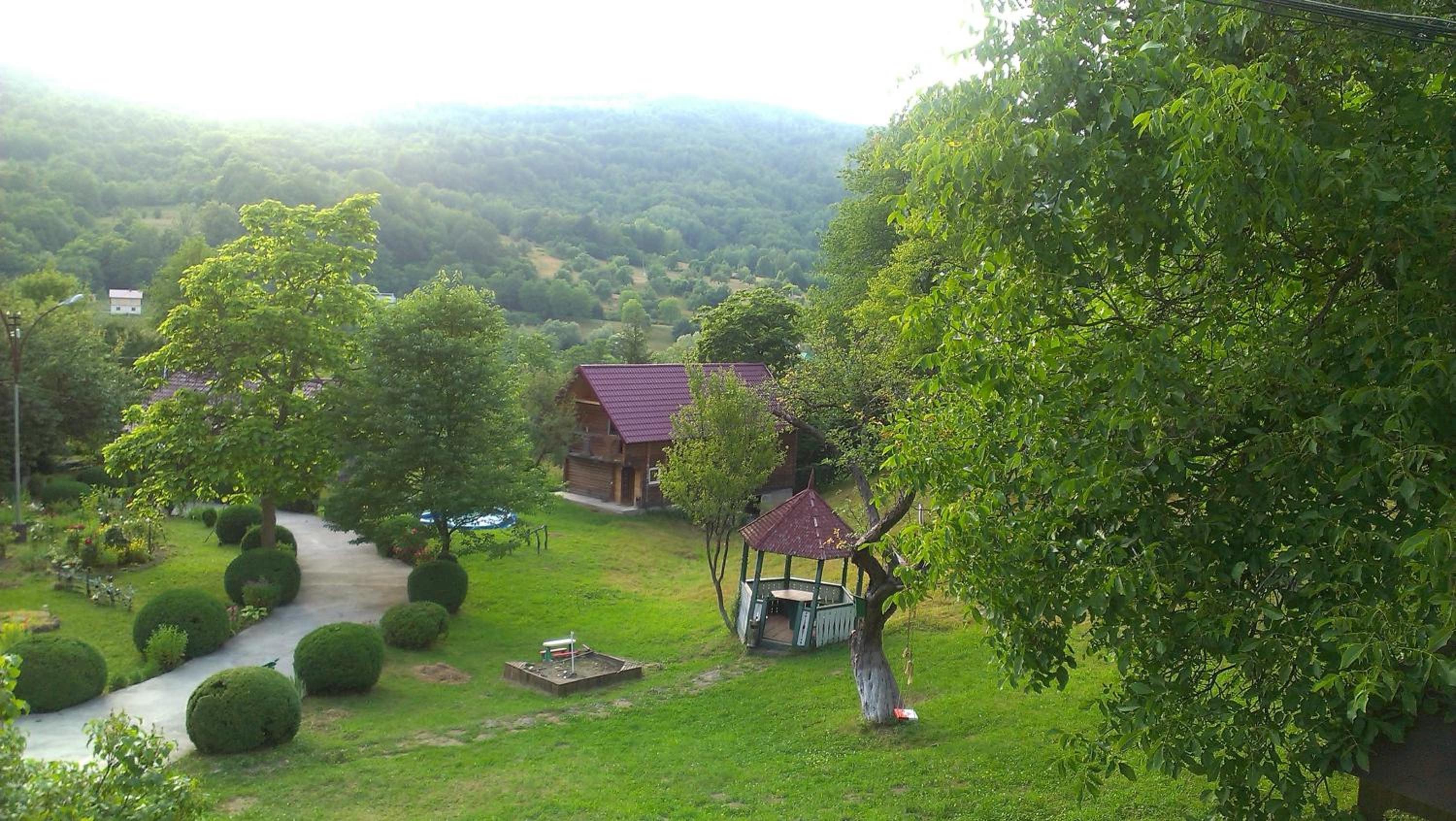 Kvasnyi