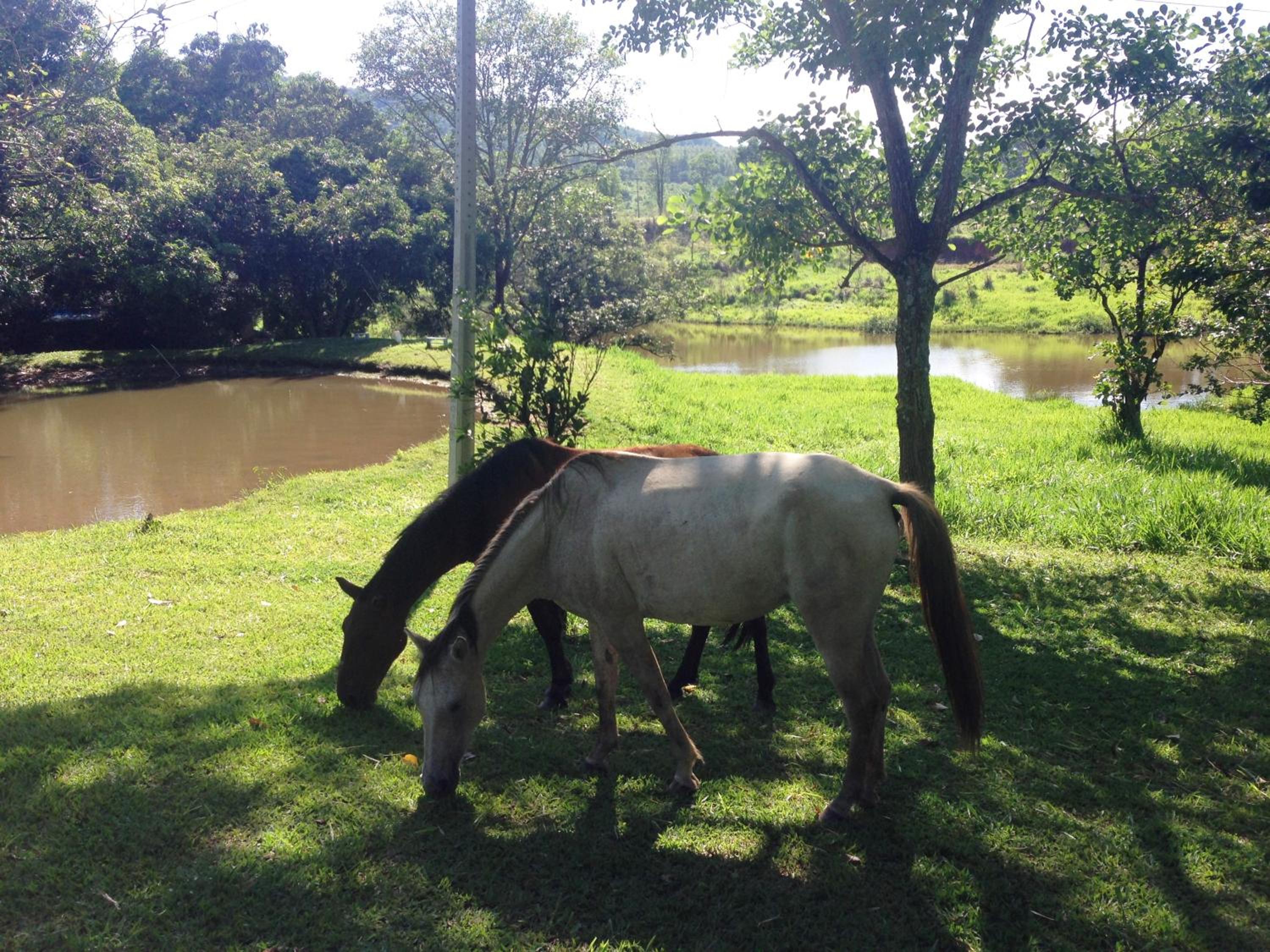 Águas Vivas Hotel Fazenda