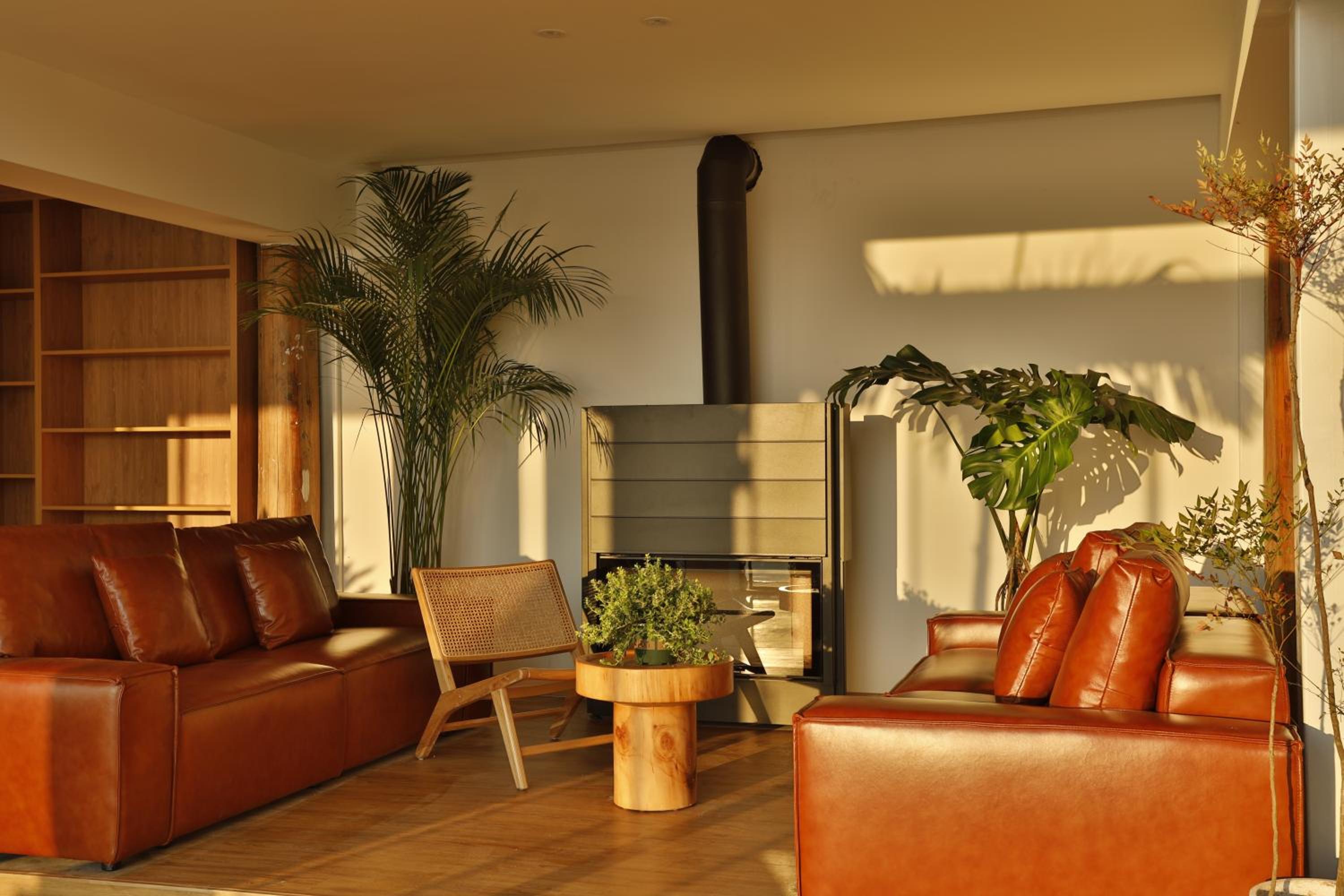 Rice View Lodge