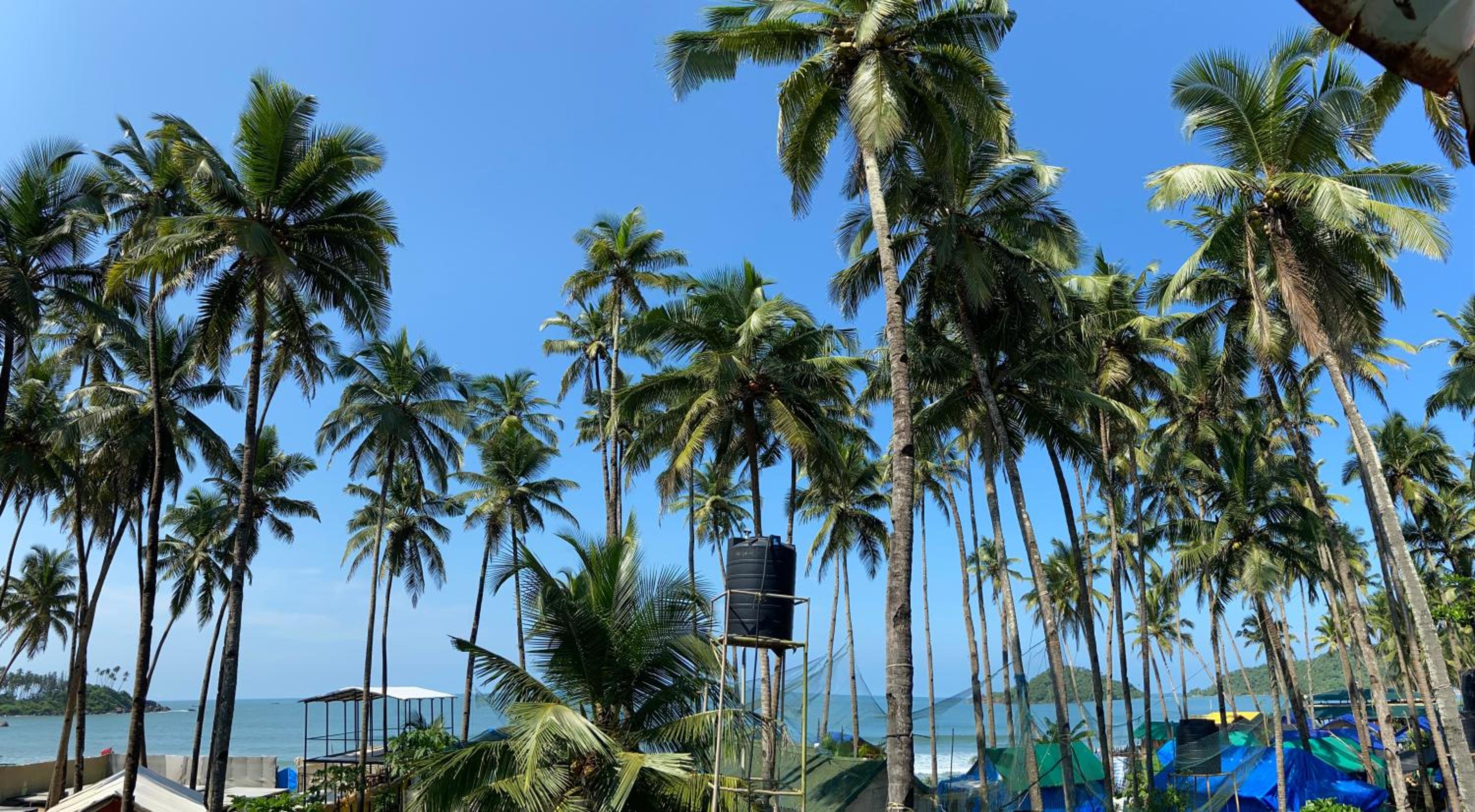 Flavia Paradise Guest House view 4