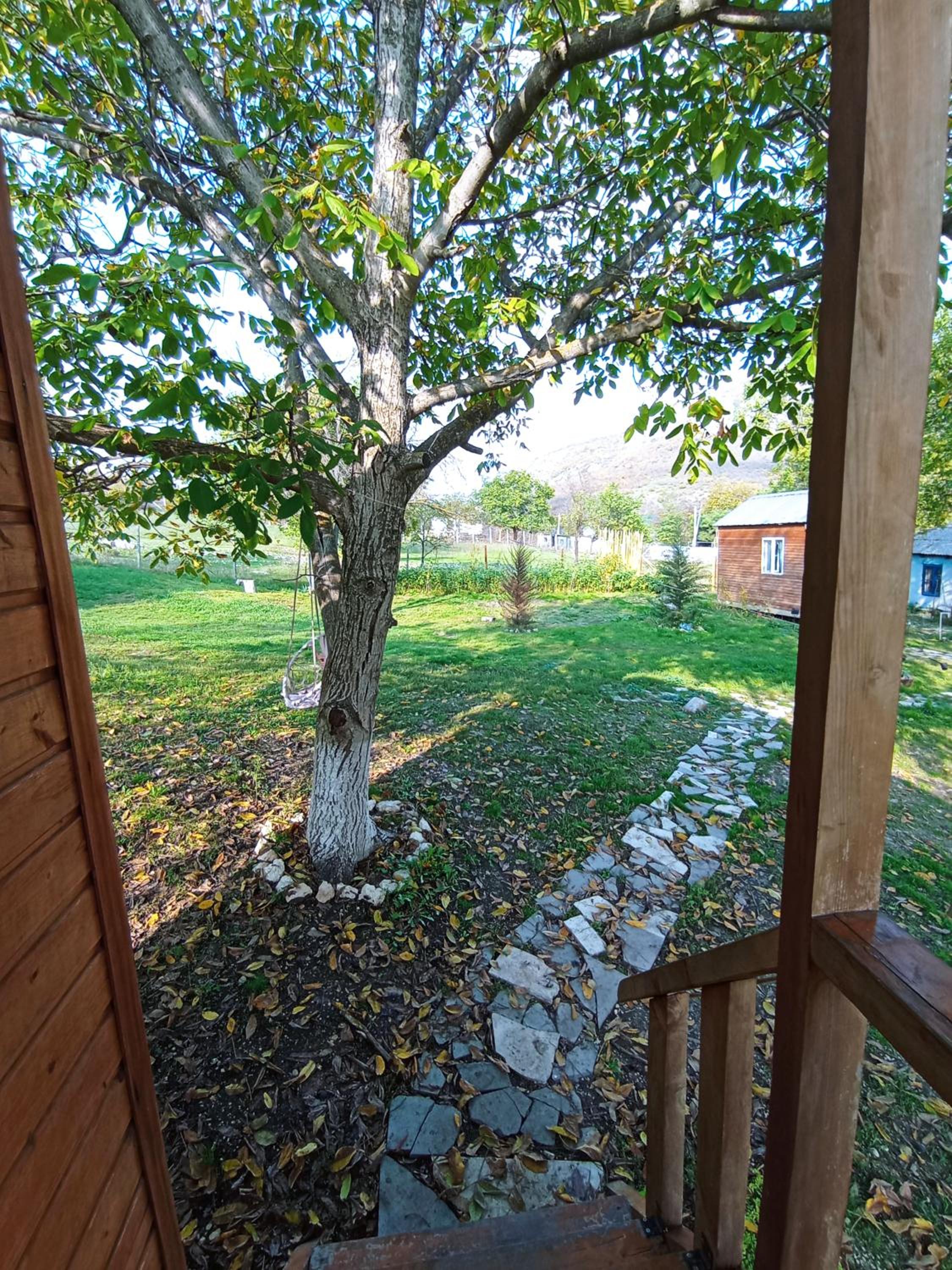 Photo 17