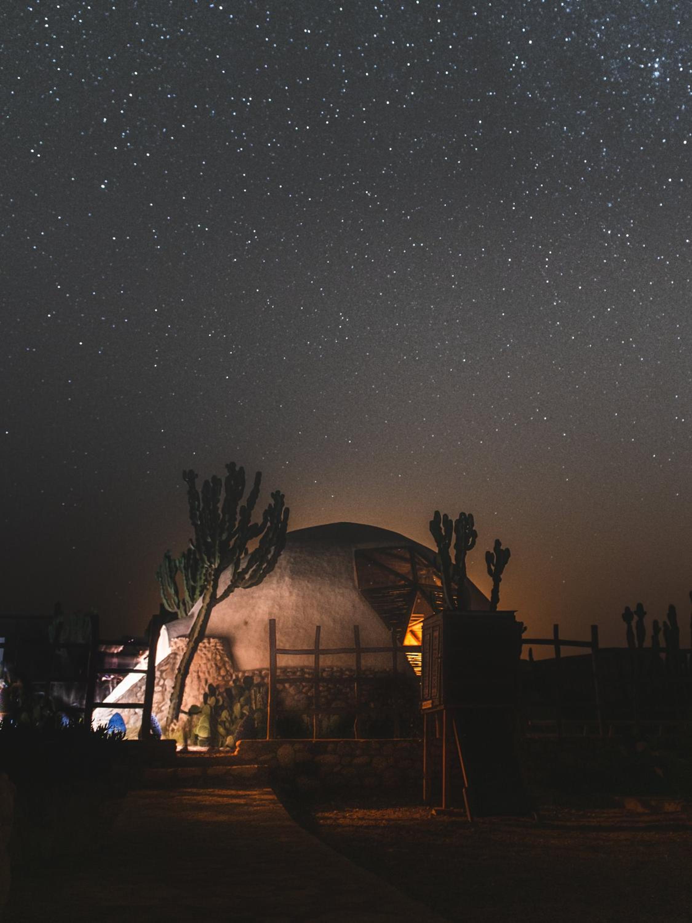 DAV MAHAL Eco lodge view 3
