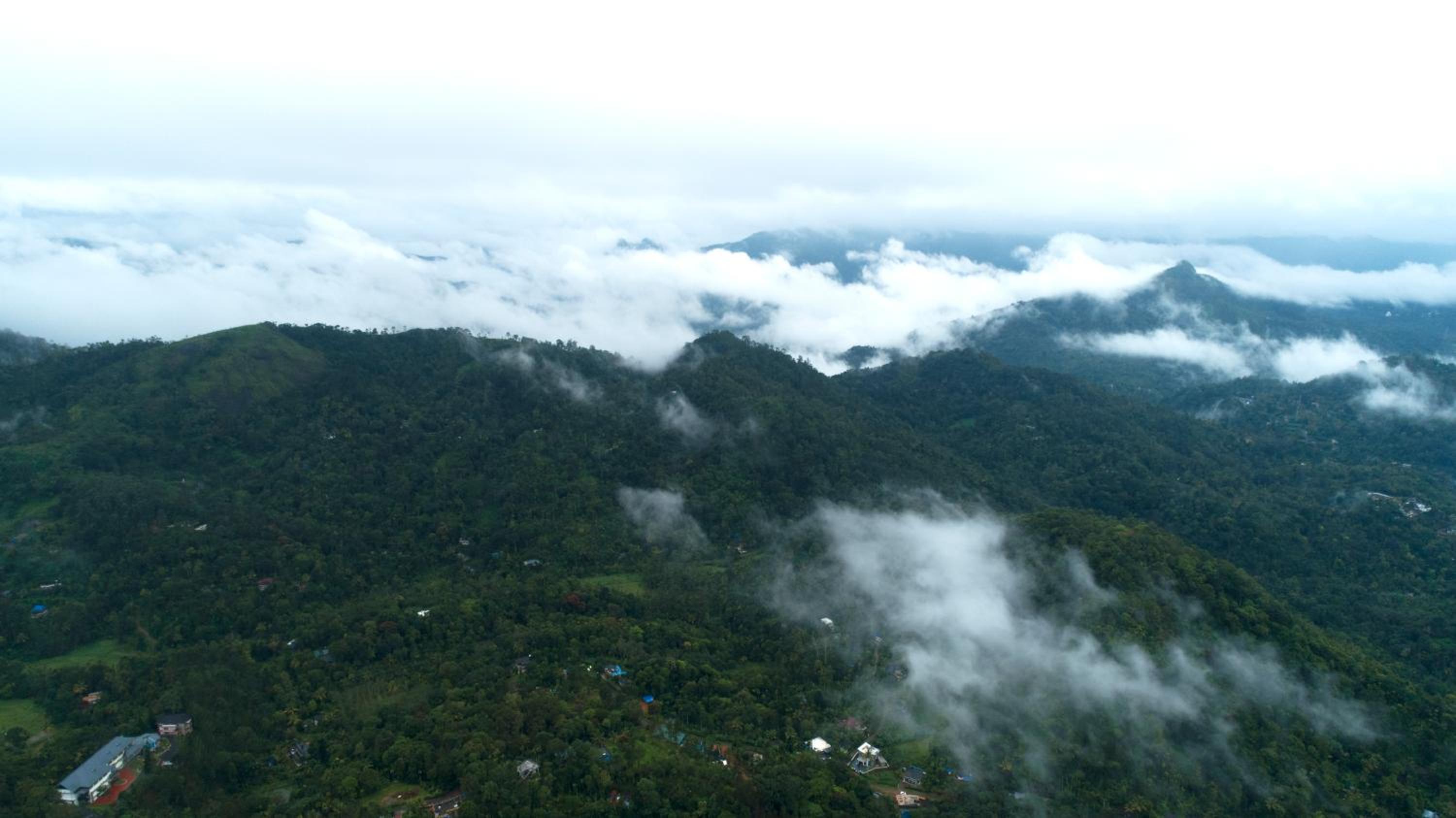 Munnar Vacations - Elephant Passage - Property Image 10