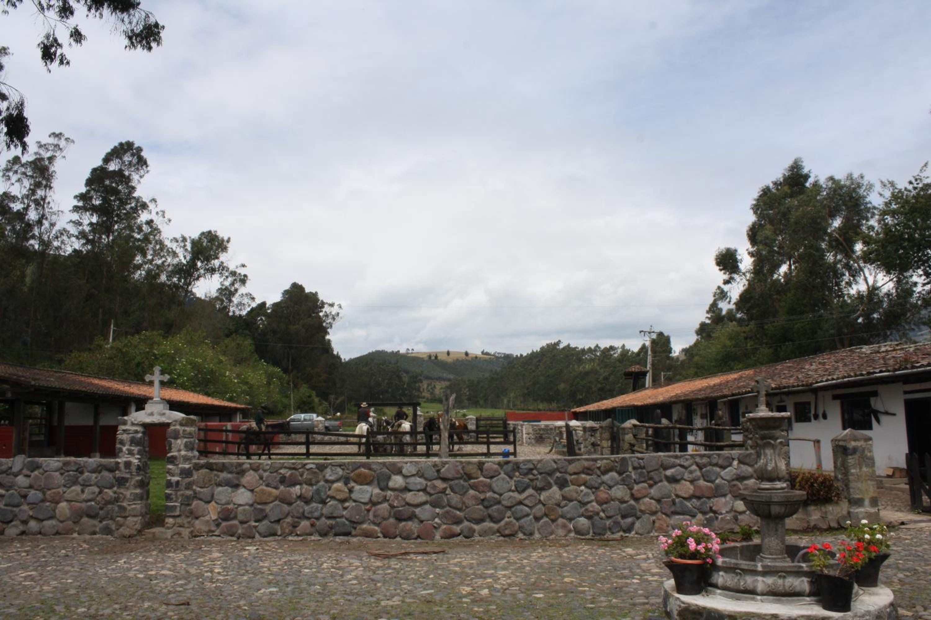 Photo 40