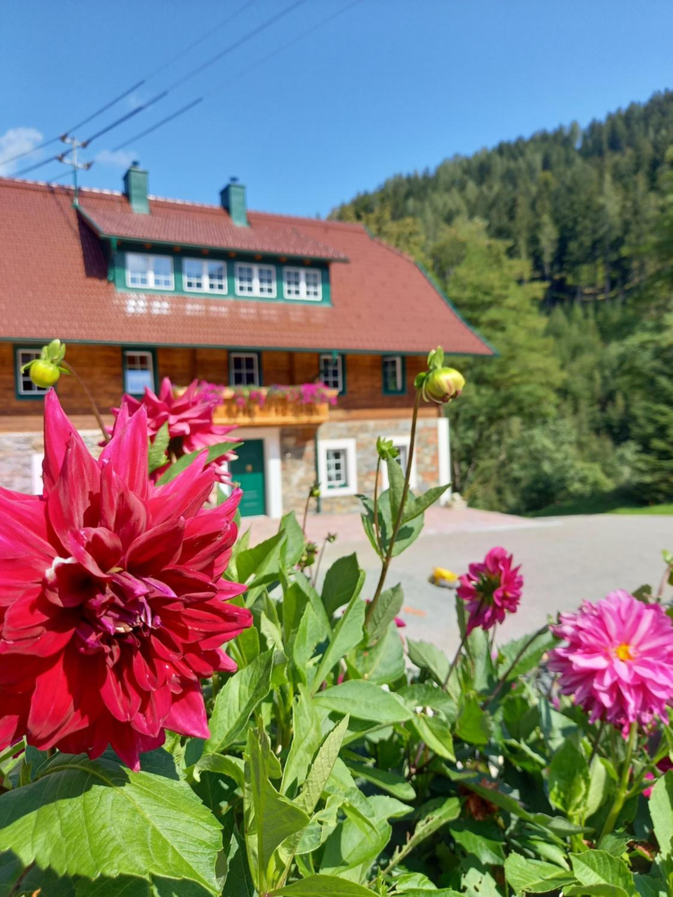 Landhaus Grünjuwel