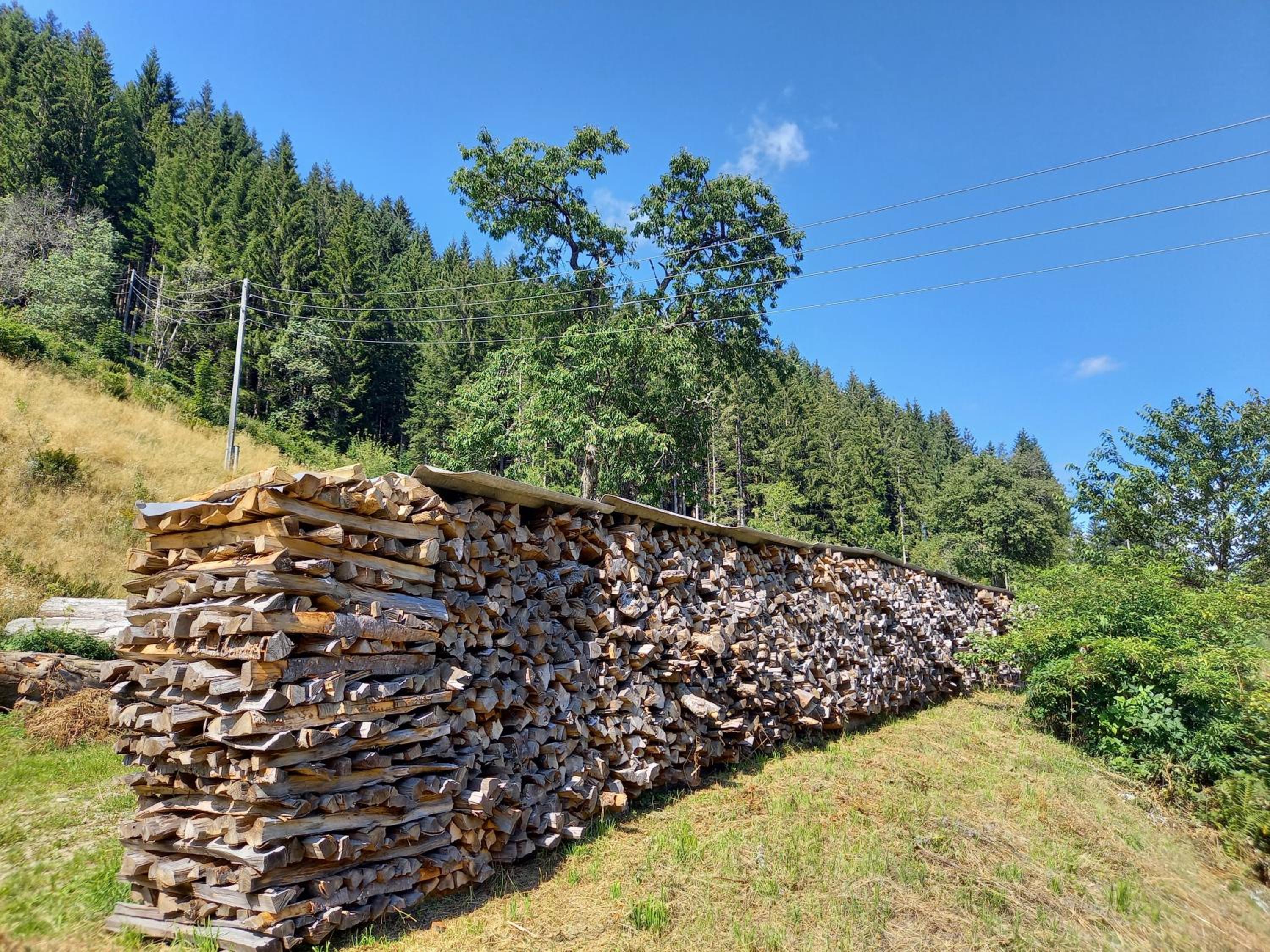 Landhaus Grünjuwel