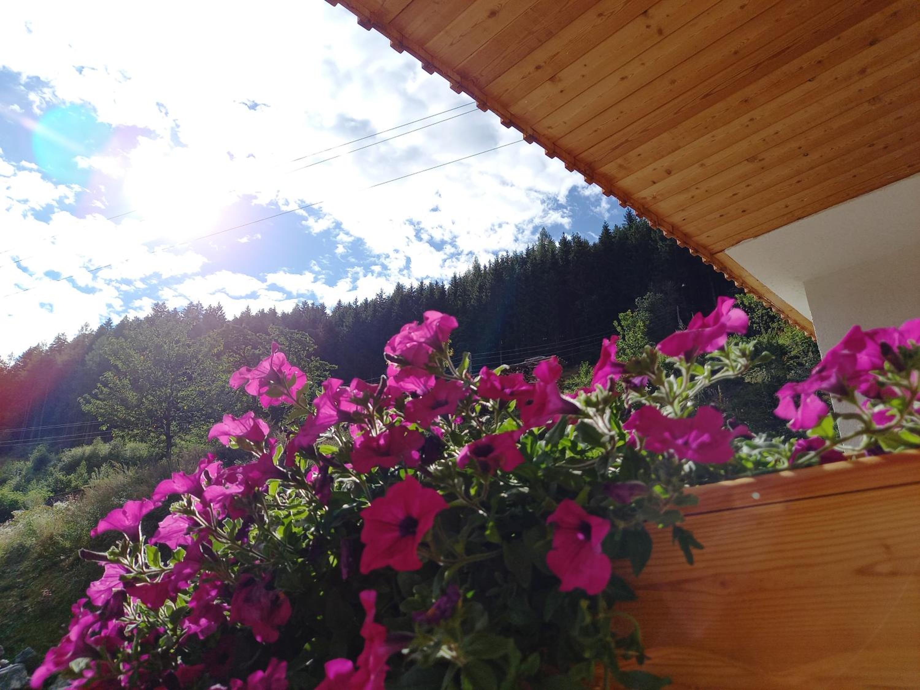 Landhaus Grünjuwel