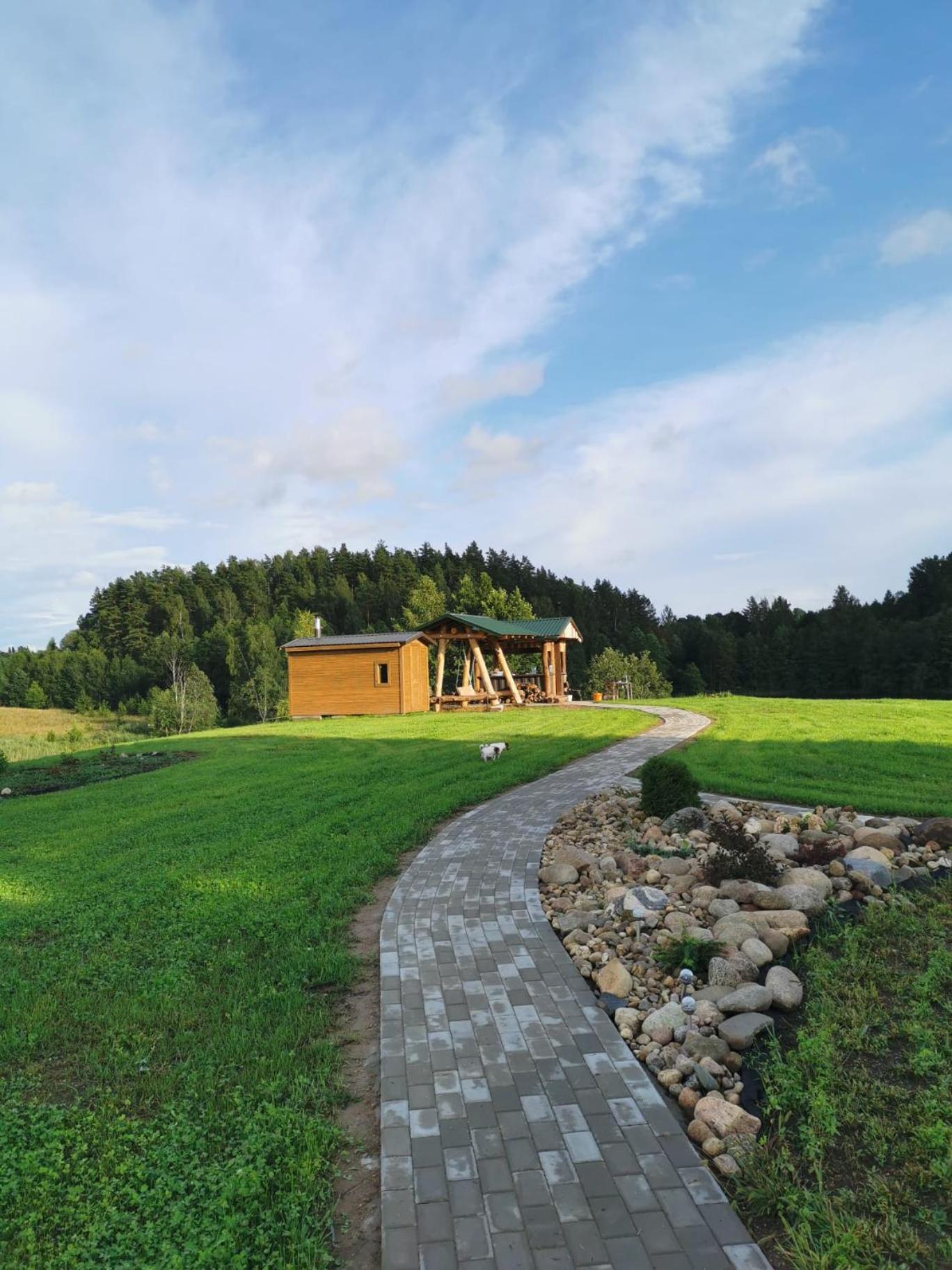 FOREST LAKE view 2