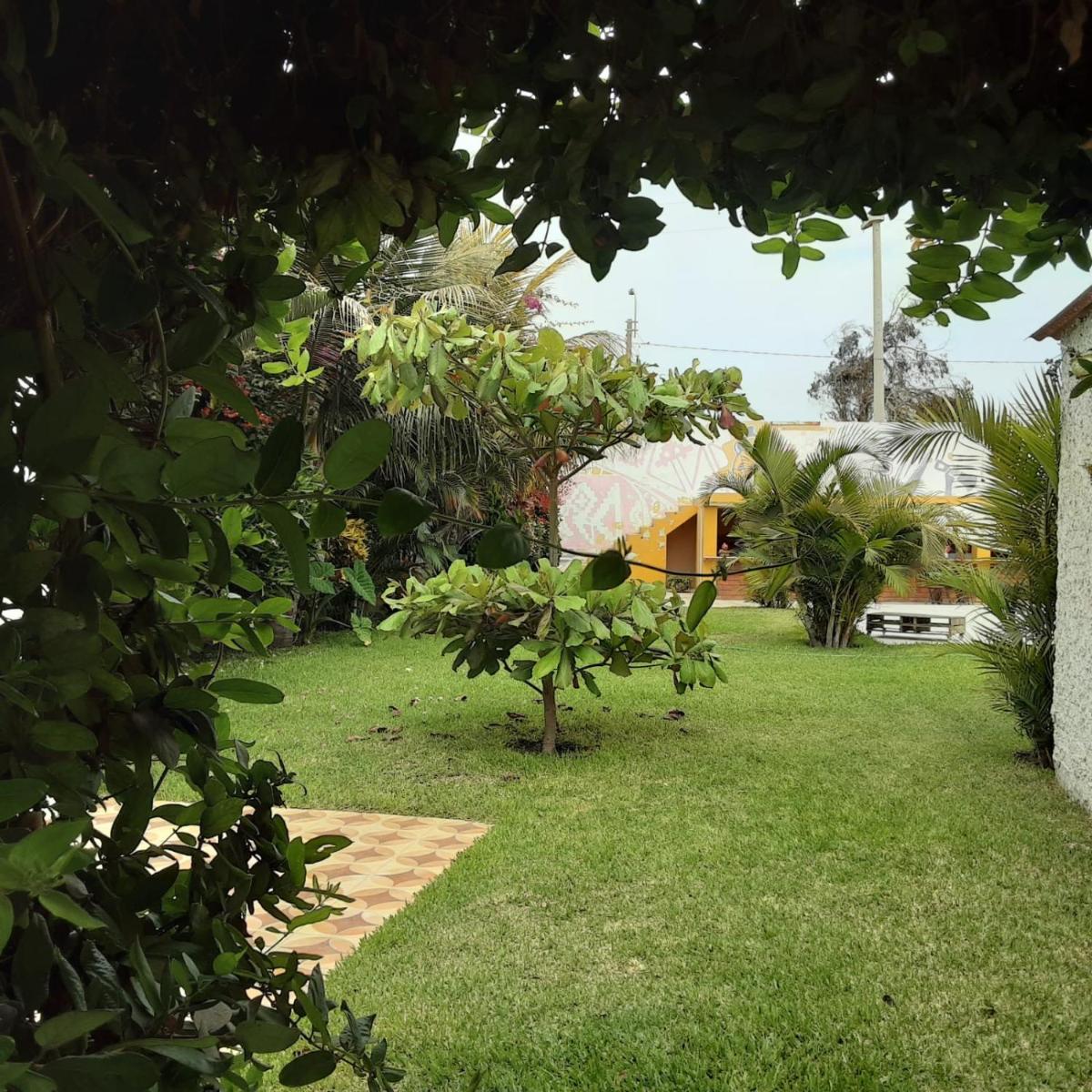 Photo 40
