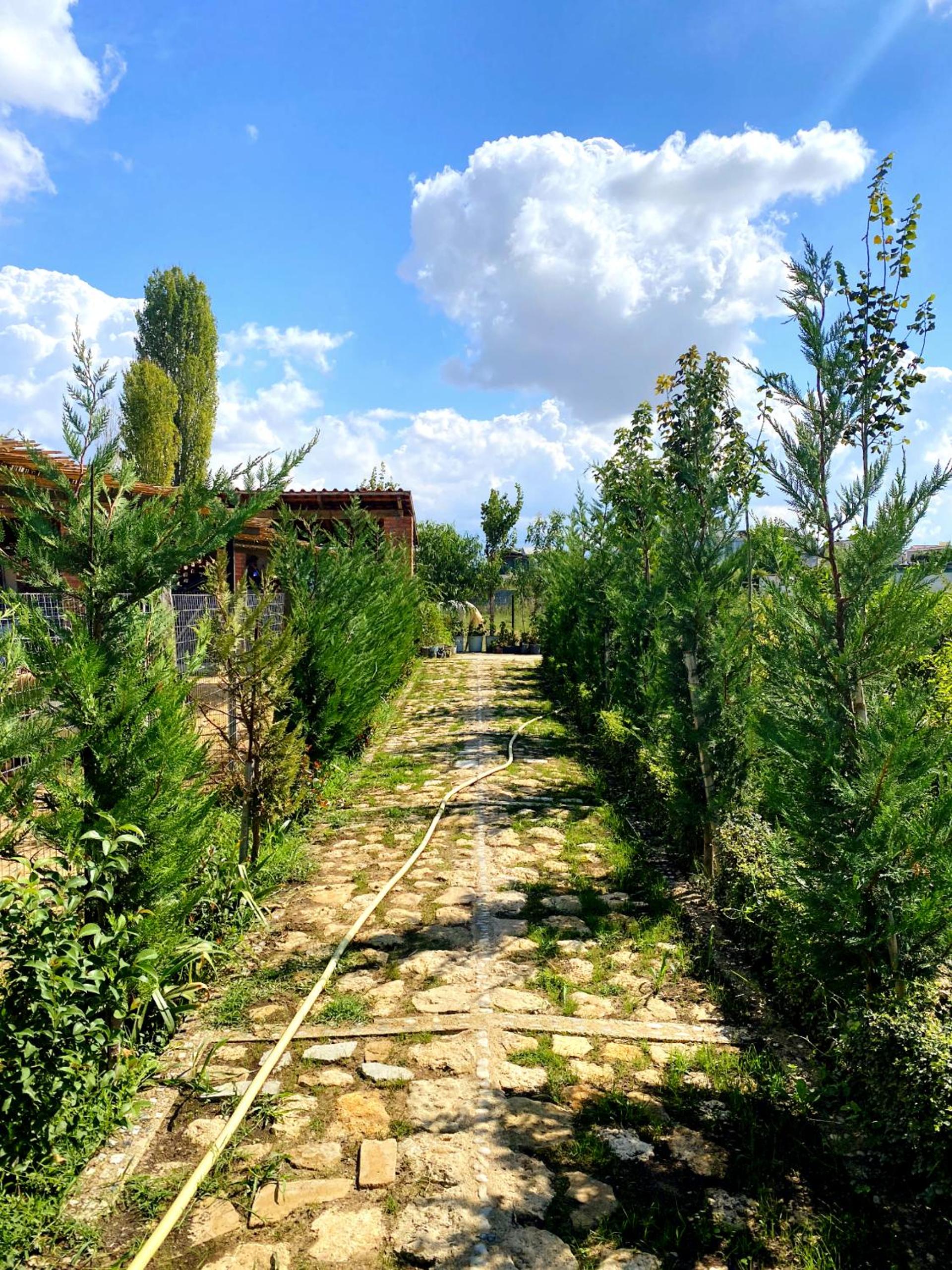 Blerina Farm House