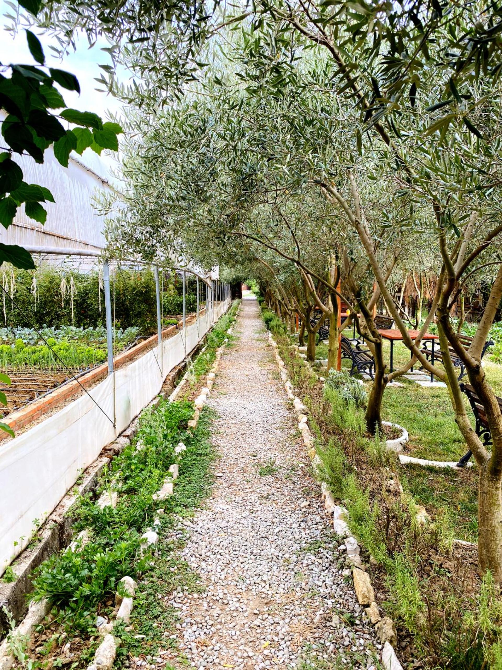 Blerina Farm House
