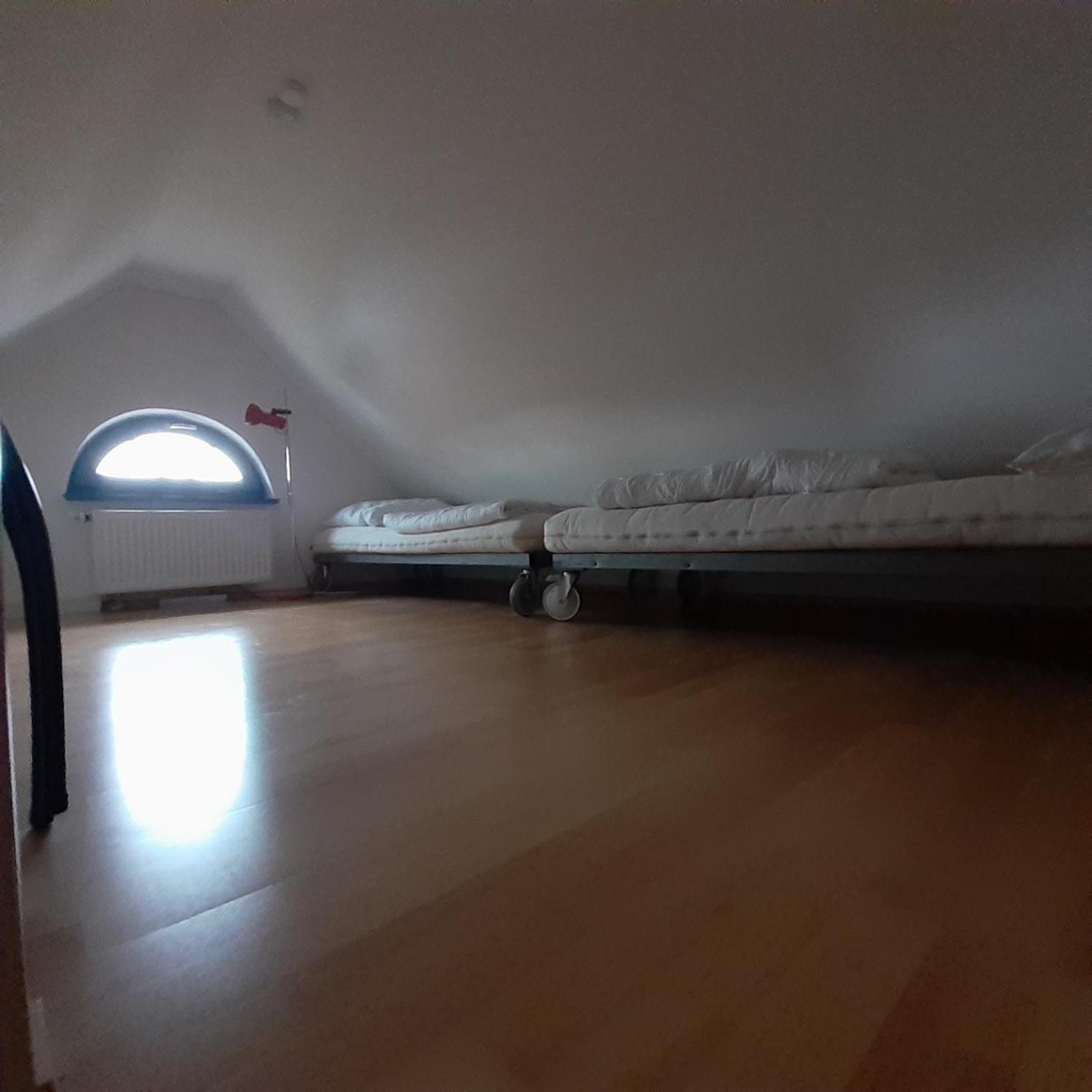 FH Carpe Diem en Zingst — hotel room