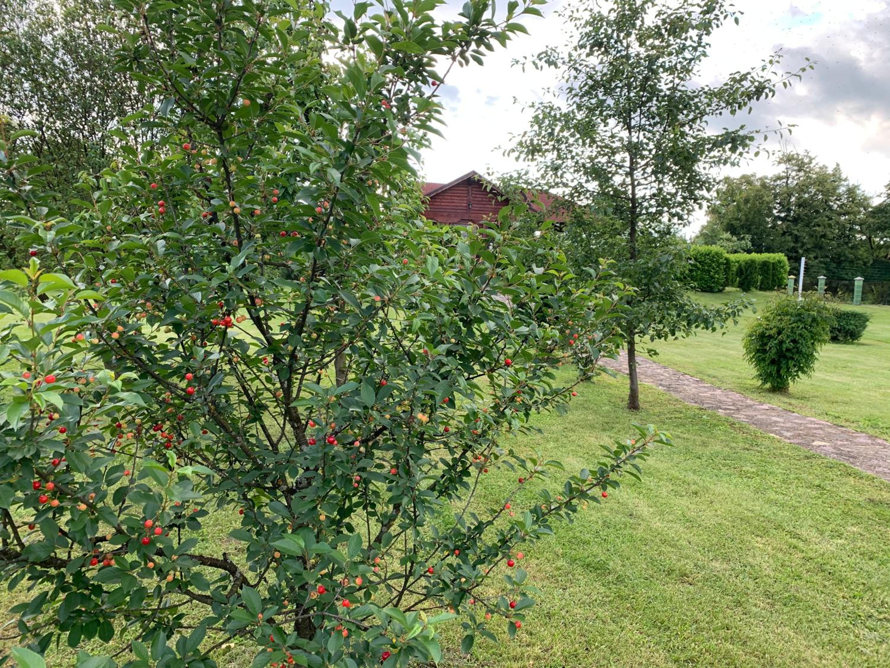Photo 14