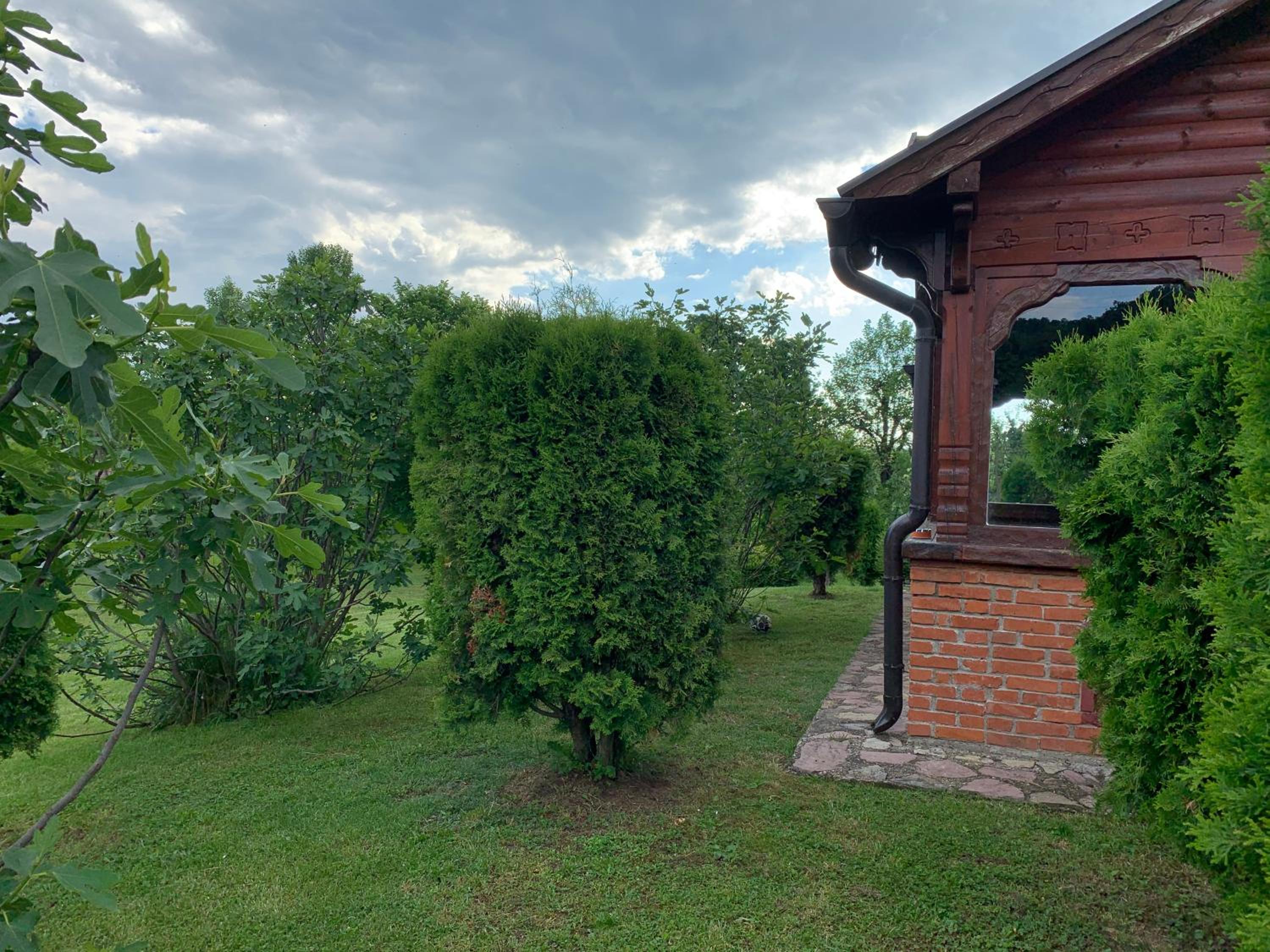 Photo 6