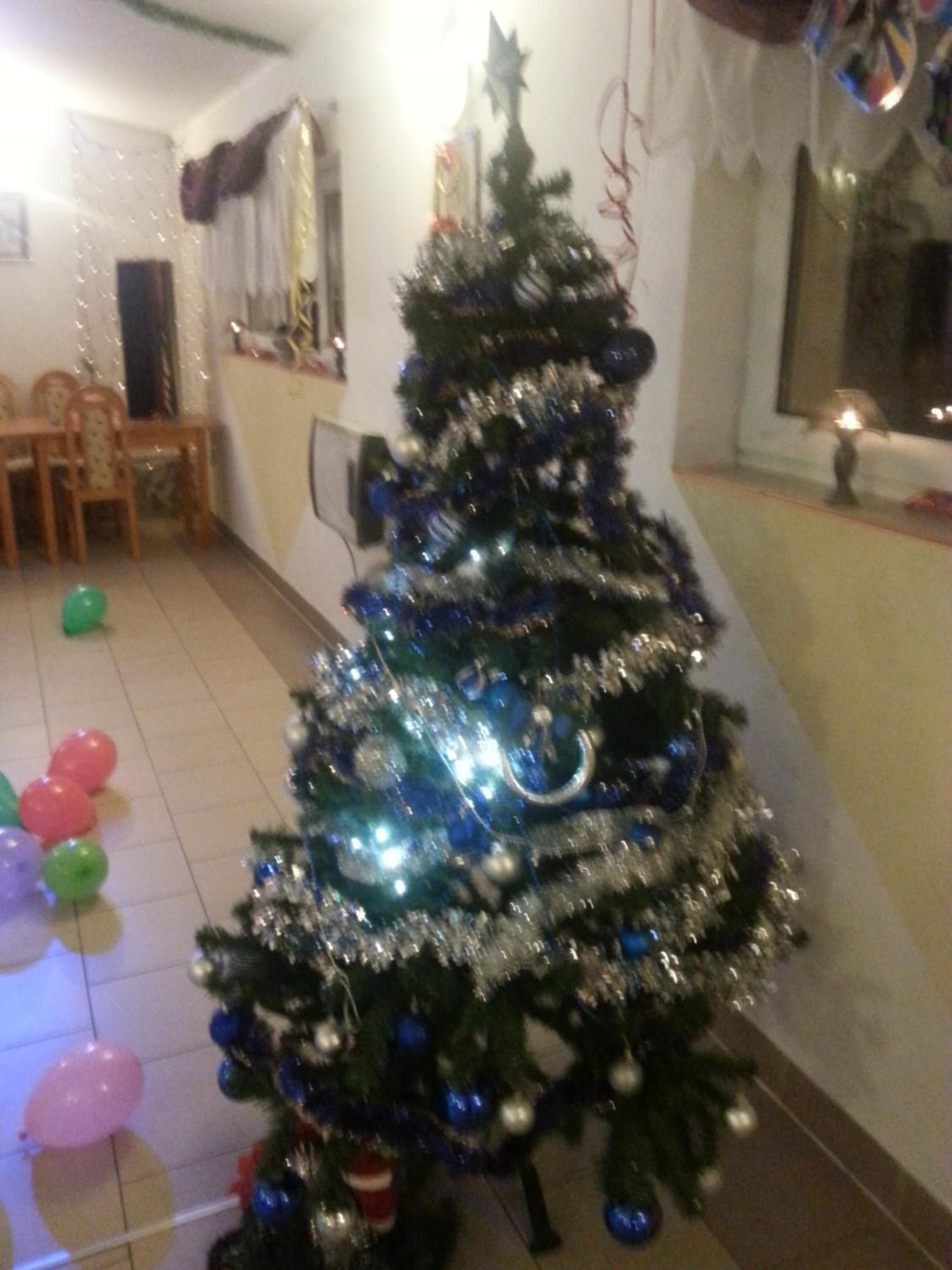 Photo 47