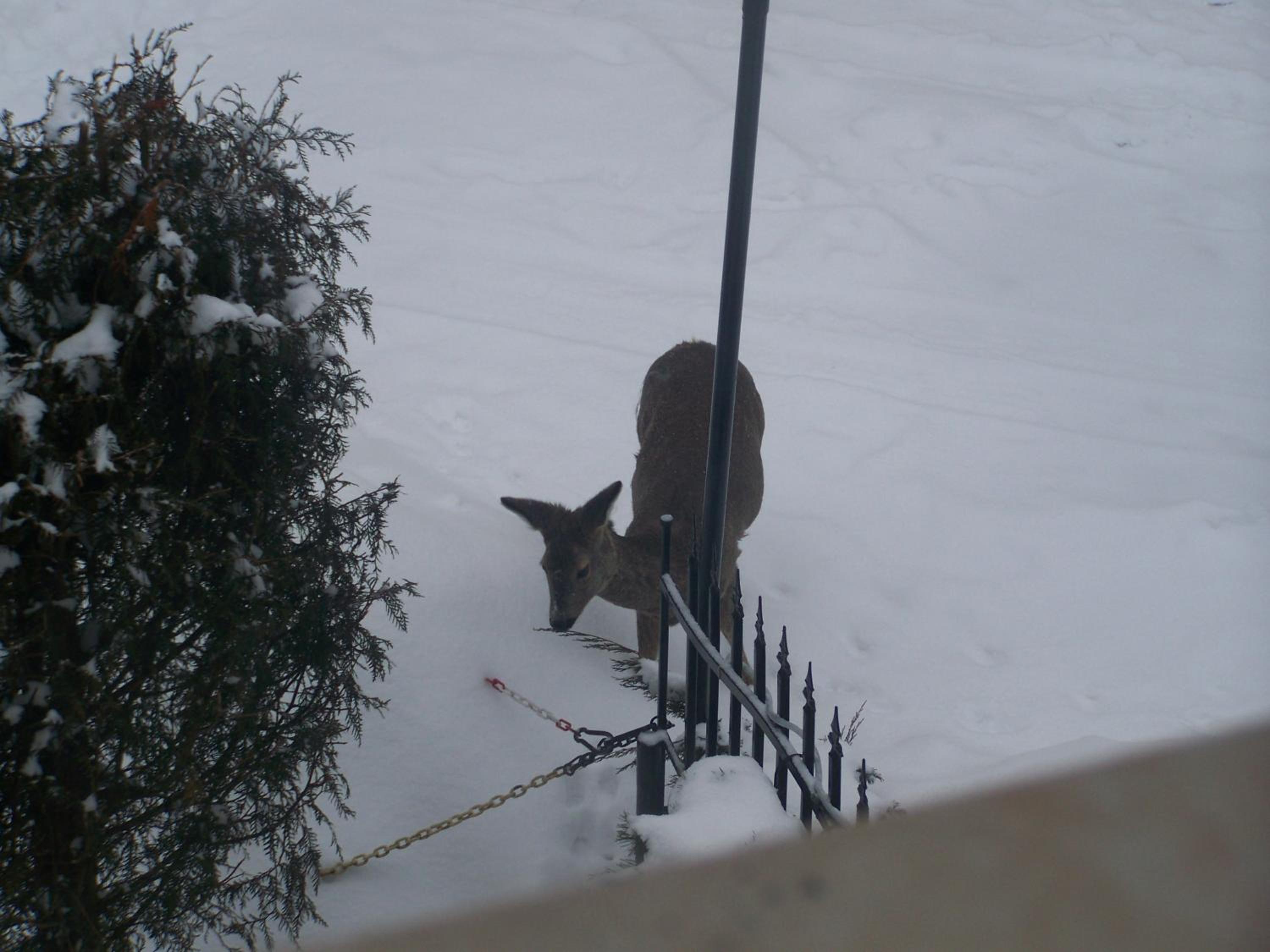 Photo 49