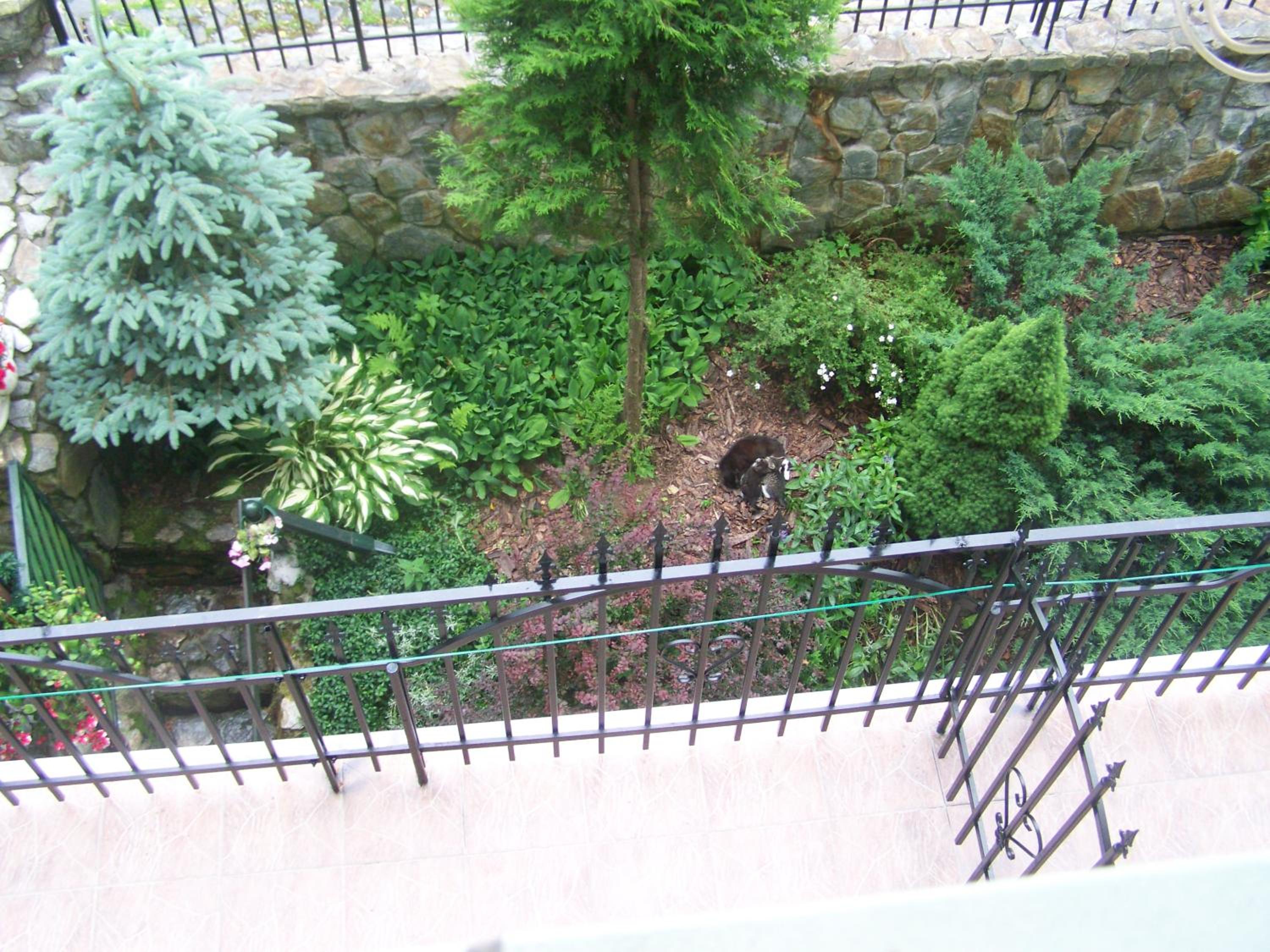 Photo 53