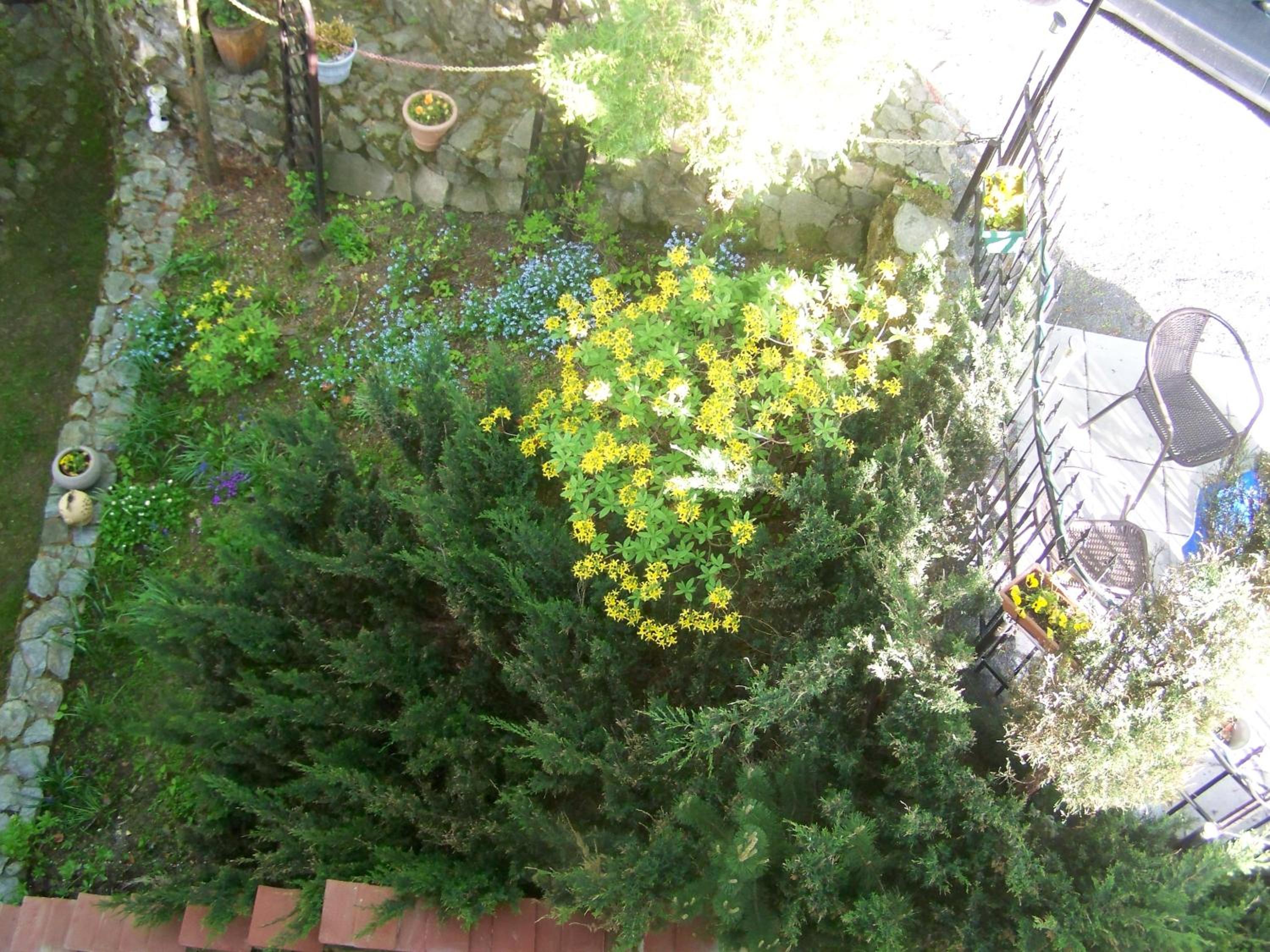 Photo 54