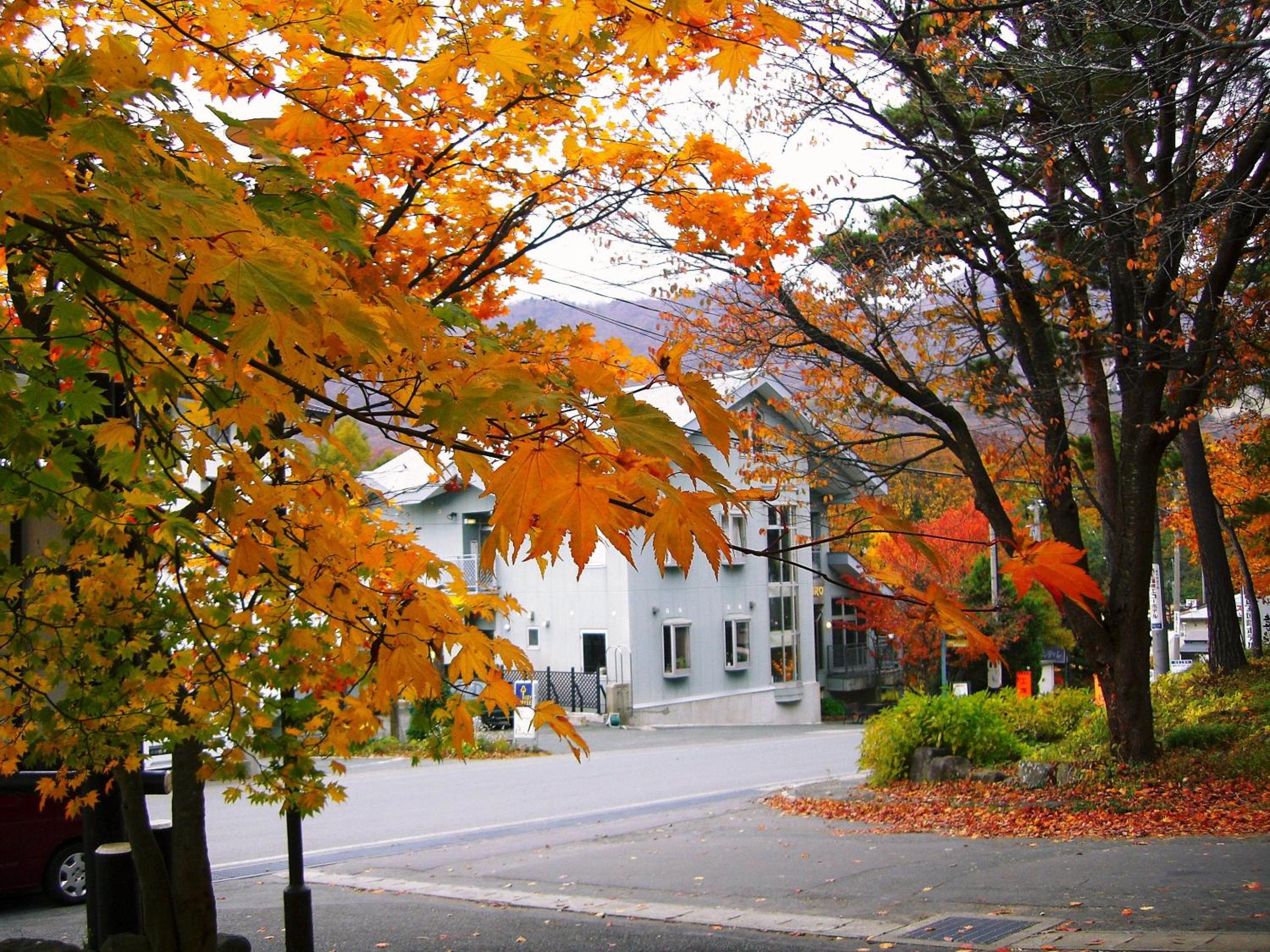 Pension Puutaro