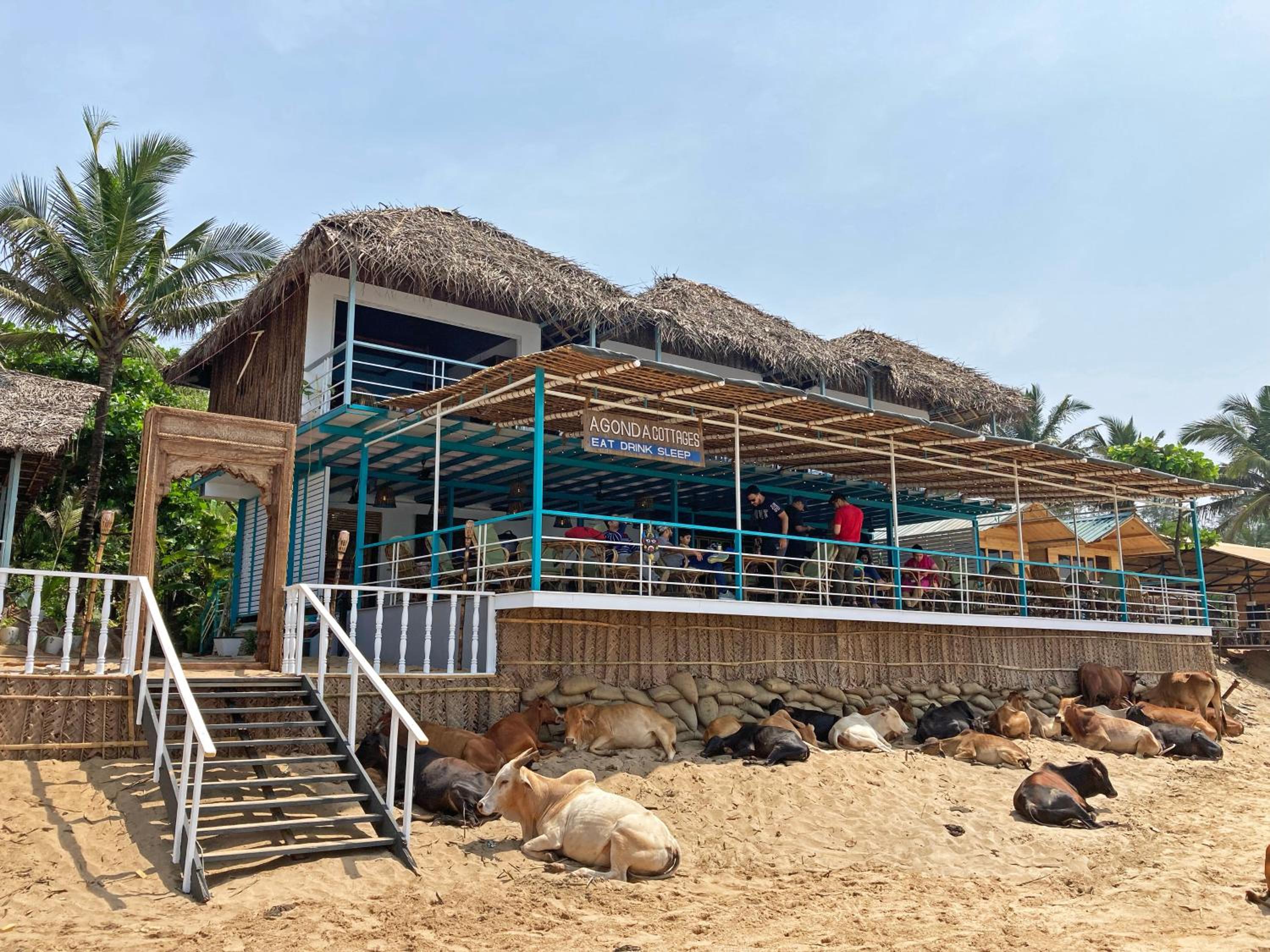 Photo 44