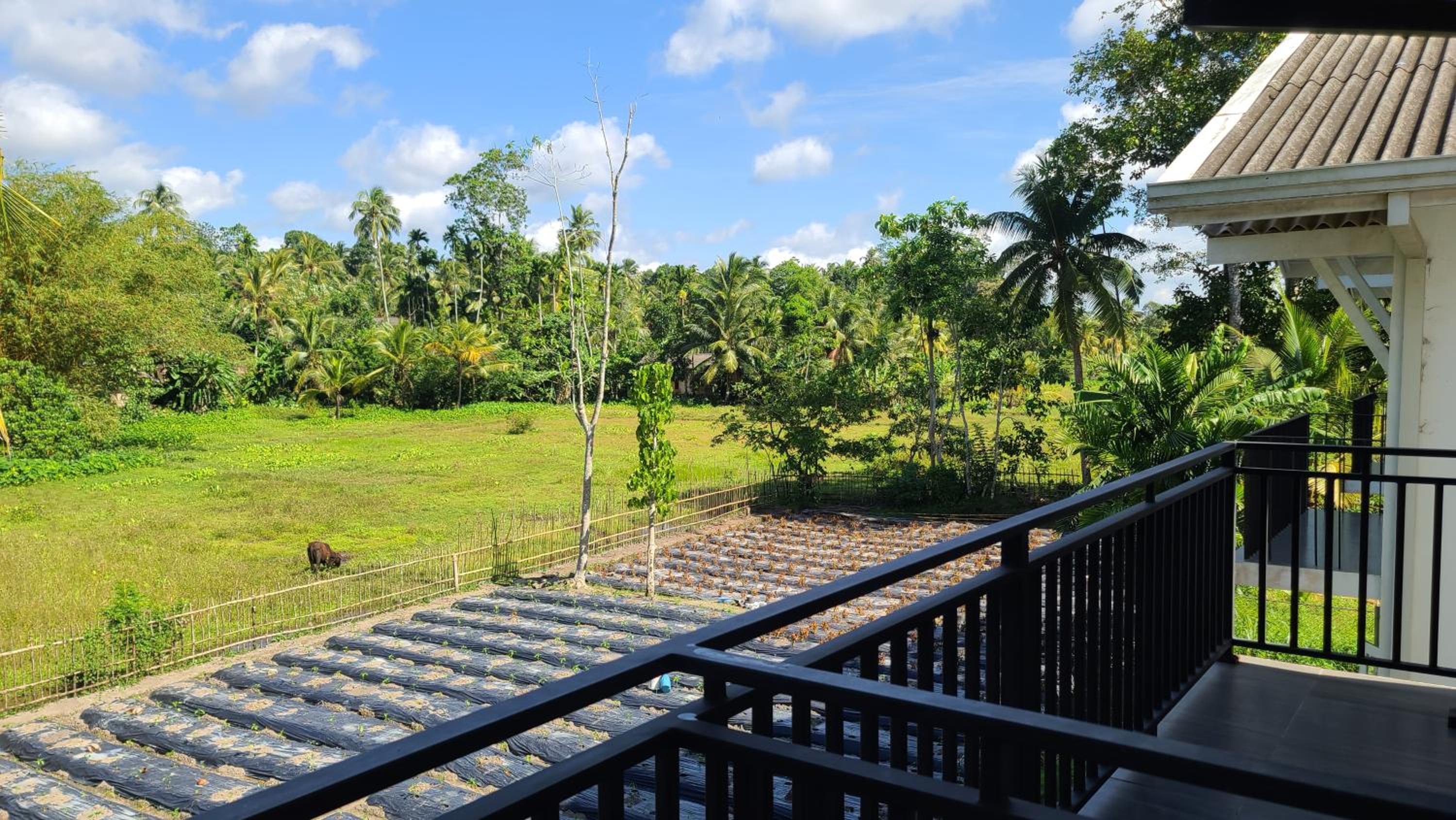 Brownies Villa view 5