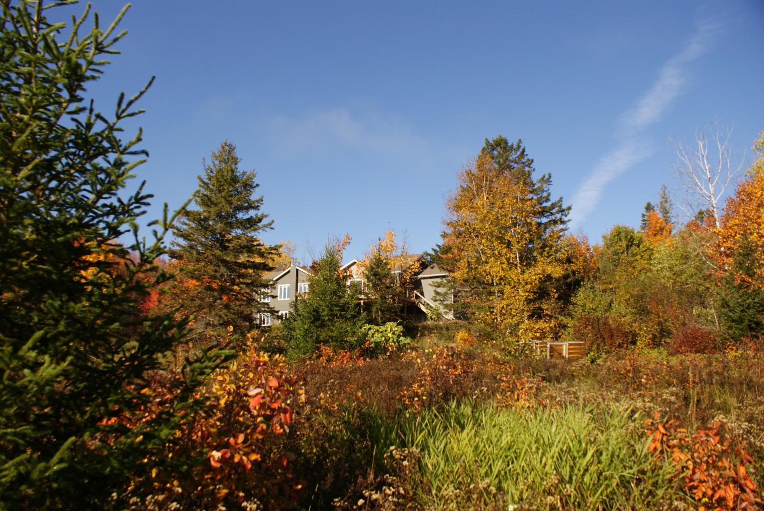 Top of Algonquin Bed and Breakfast