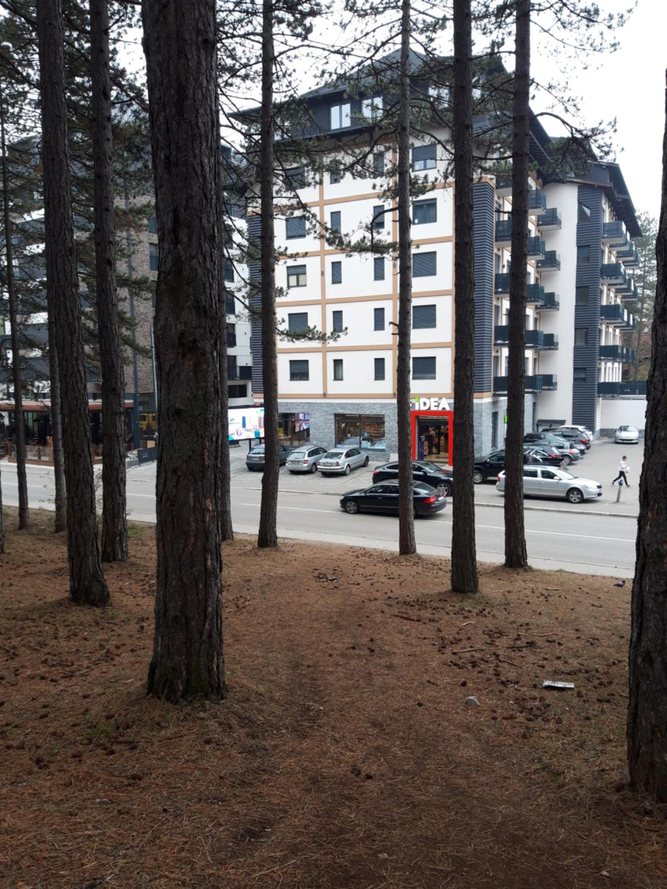 Zlatibor Apartman Oasis view 2
