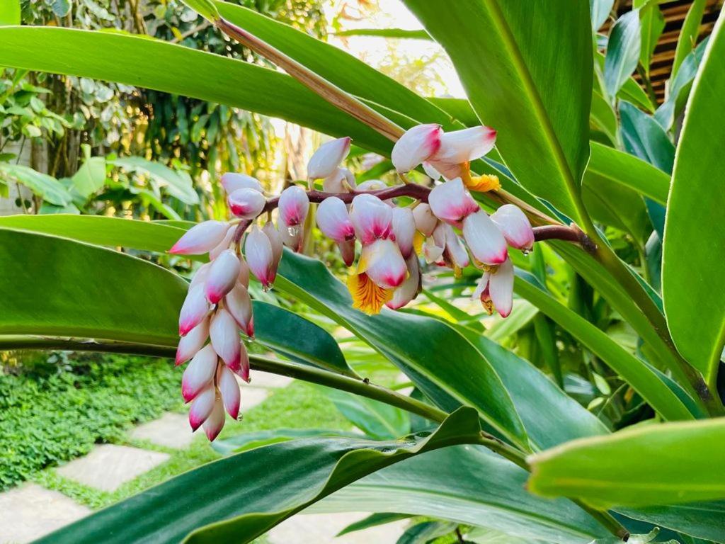 Villa de Bemposta-Trancoso