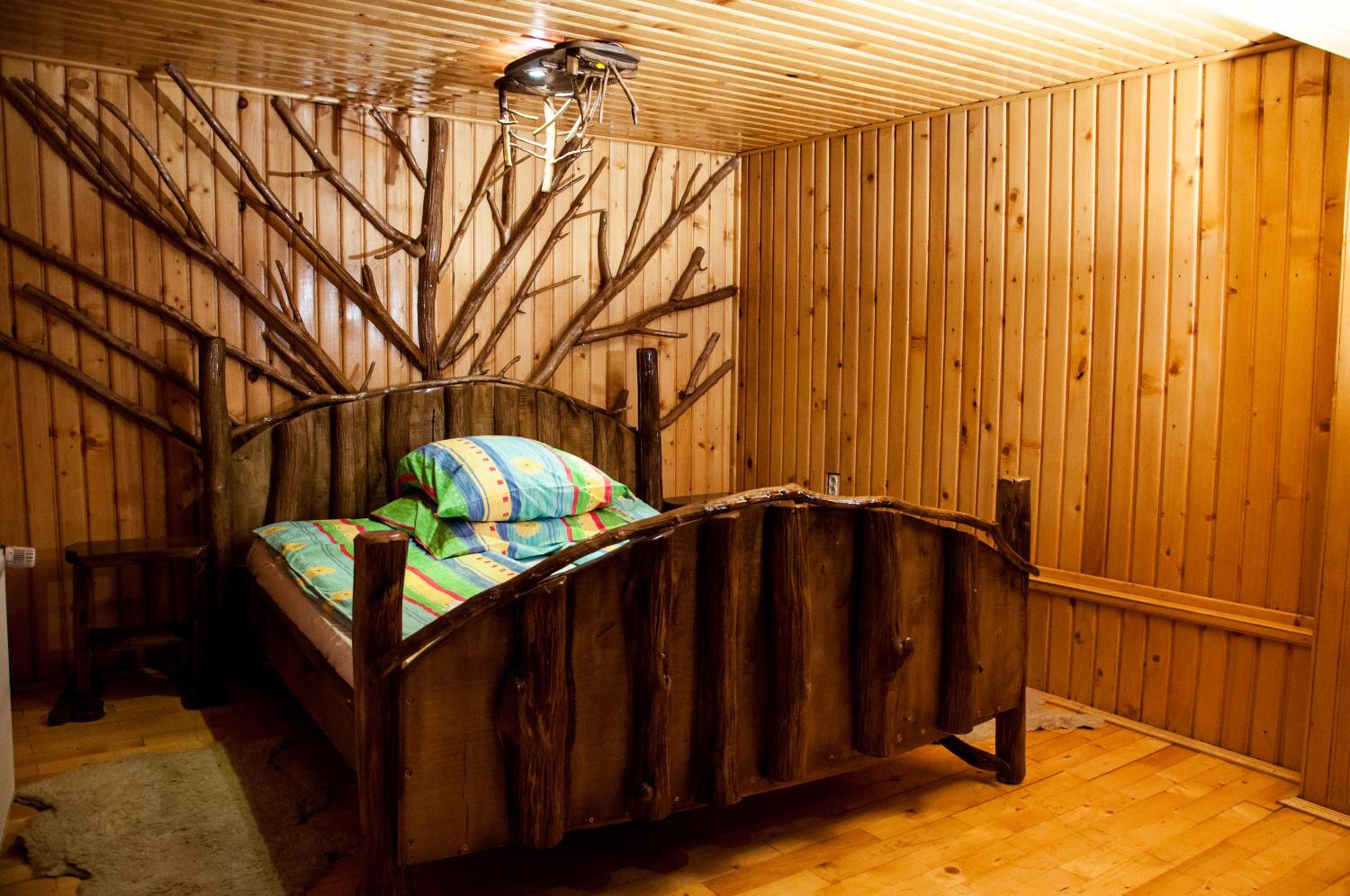 Photo 41