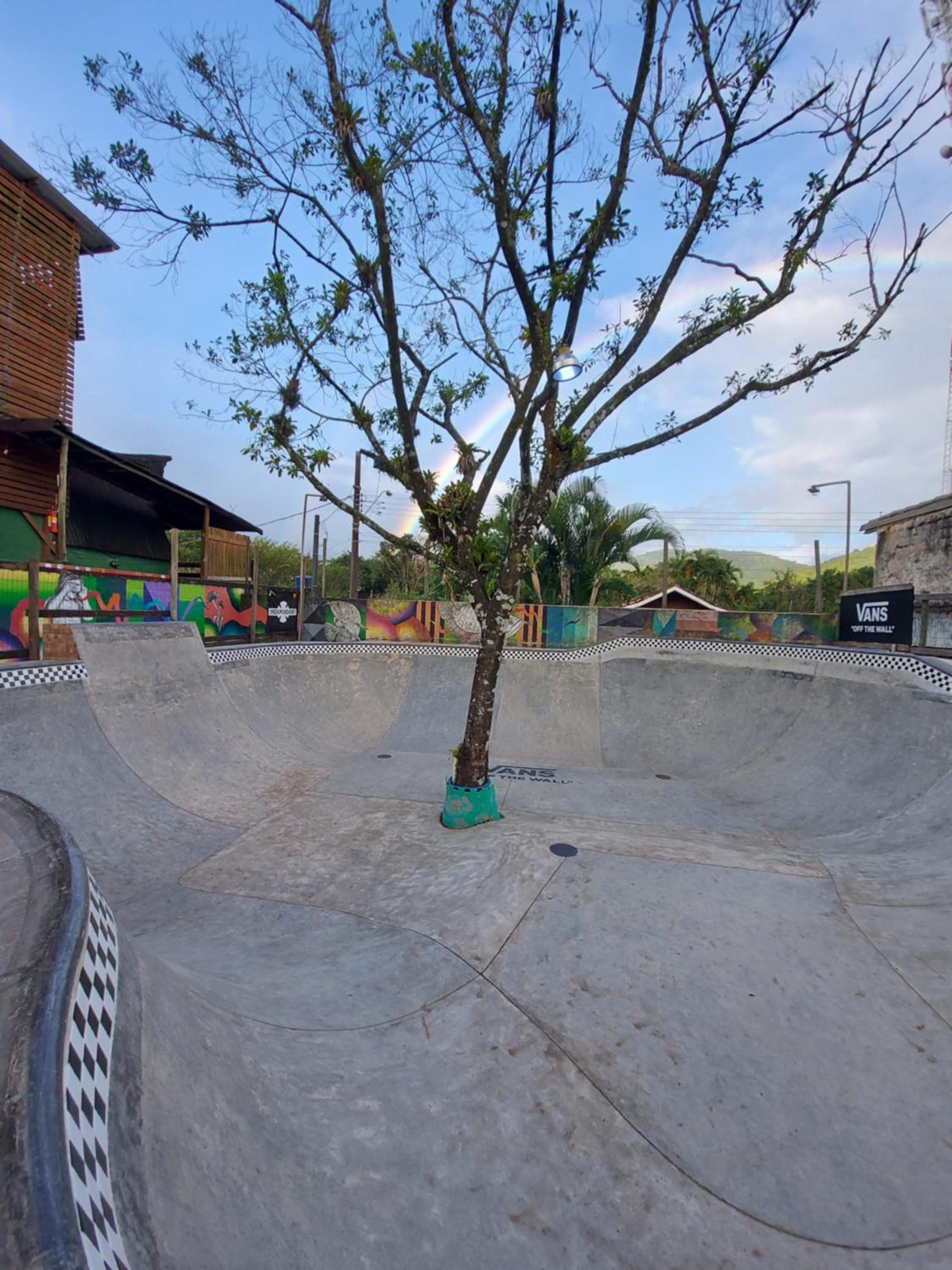 Tree Park Cambury