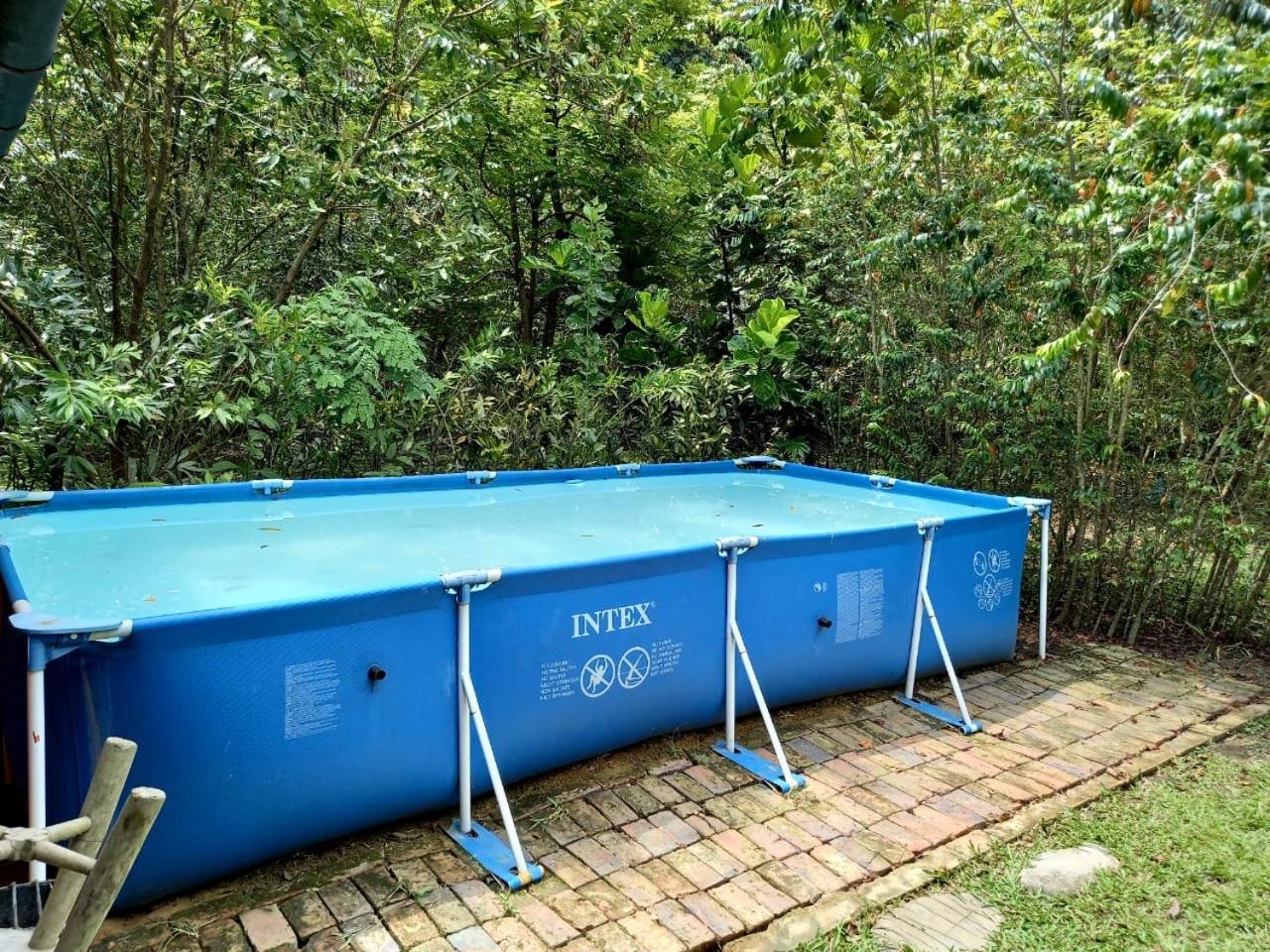No Sólo Río