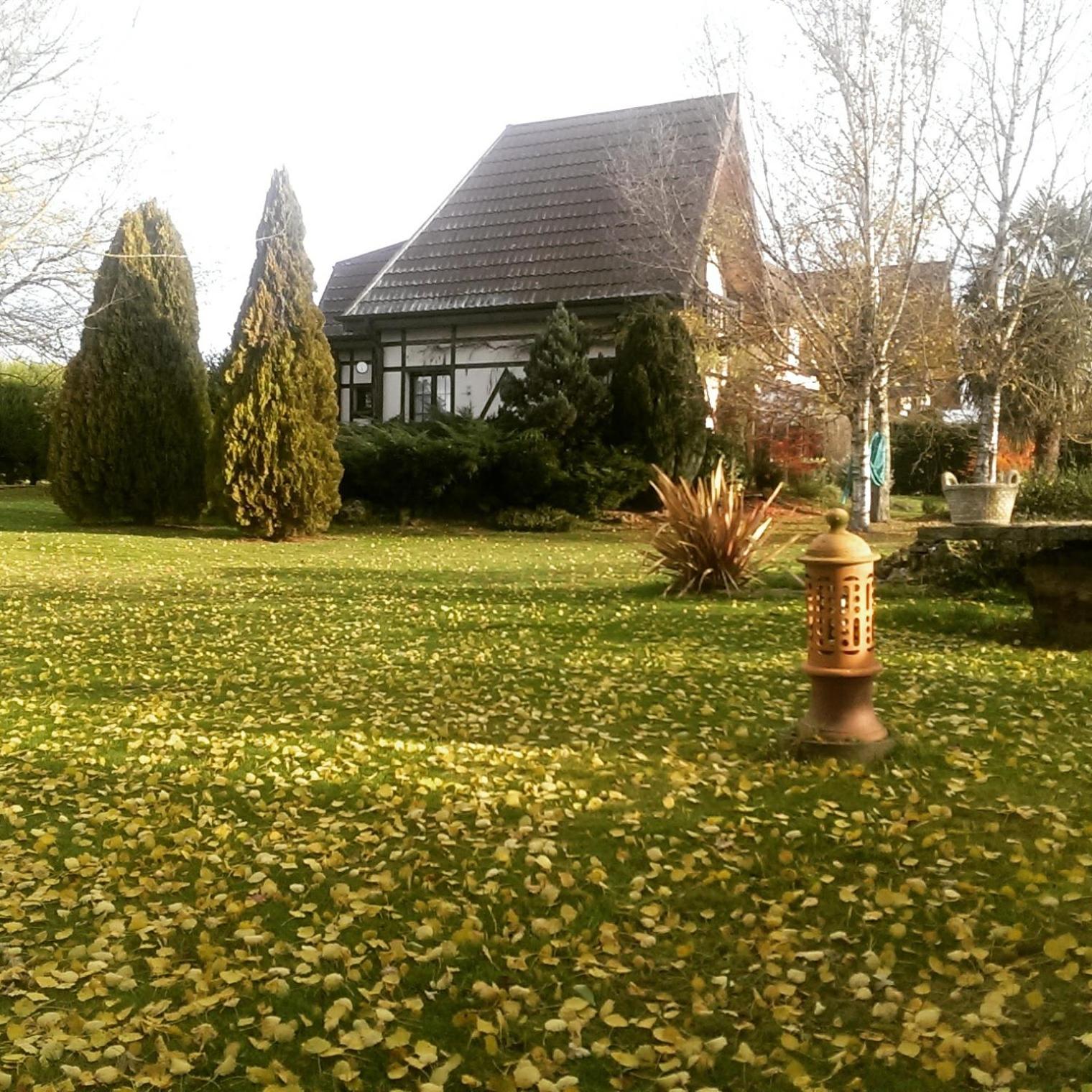 Photo 29