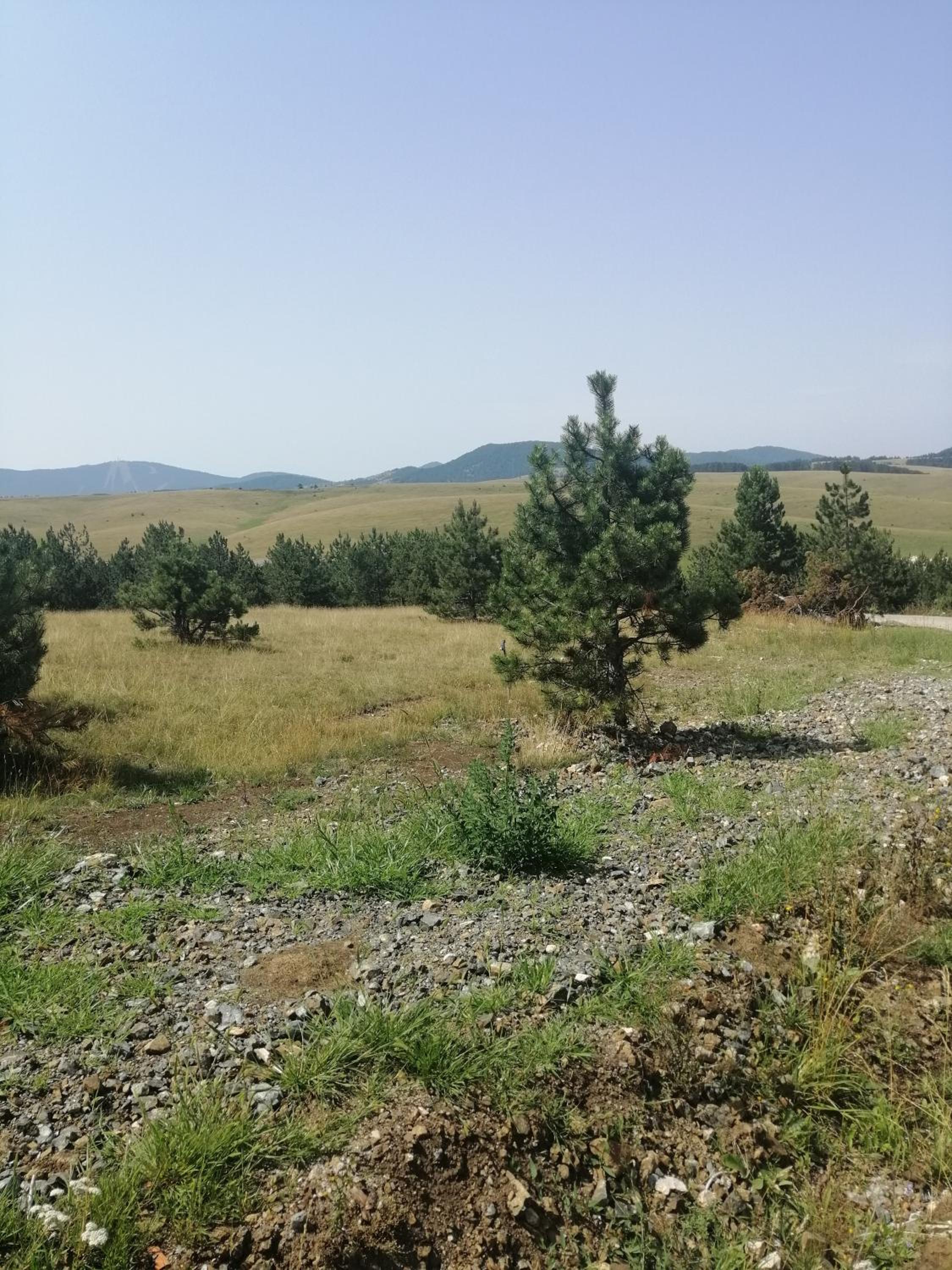Photo 34