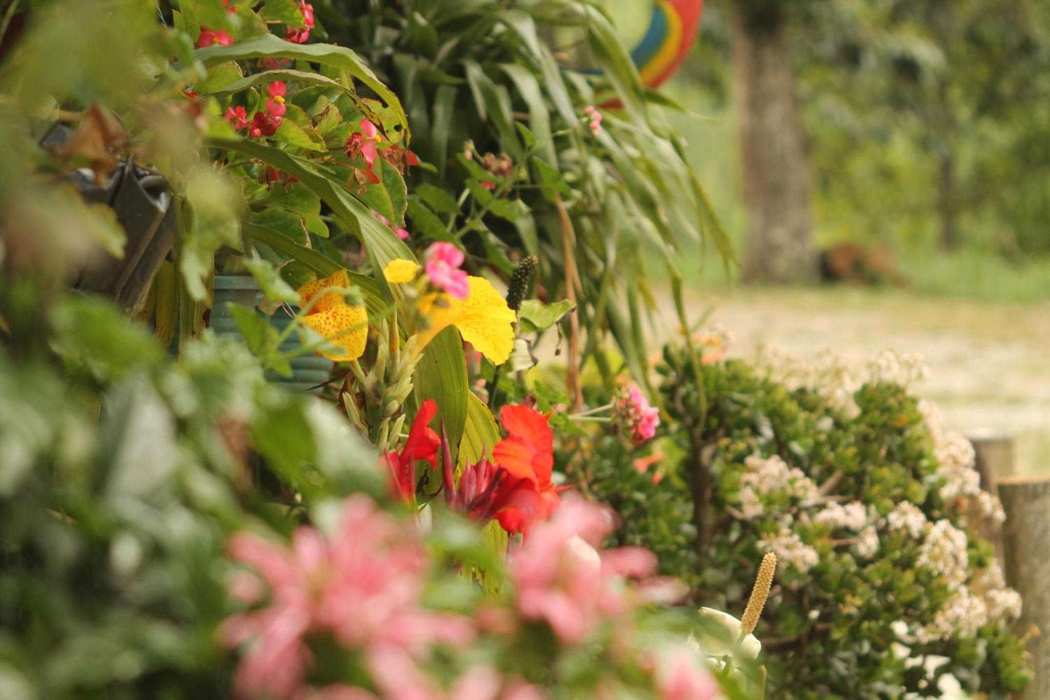 Green Hostal Popayan