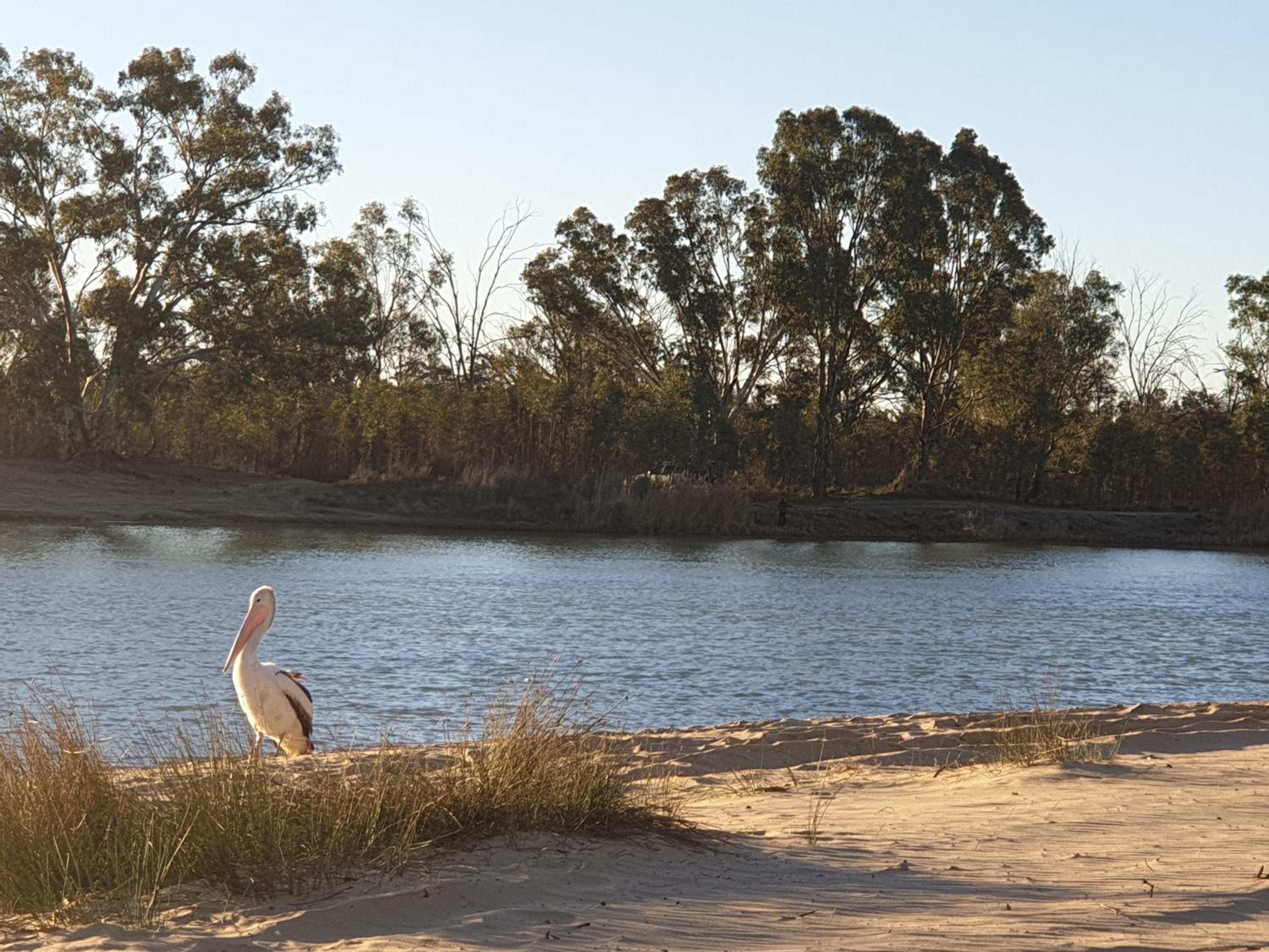 Riversands Rest Accommodation Paringa - Coobah Cottage