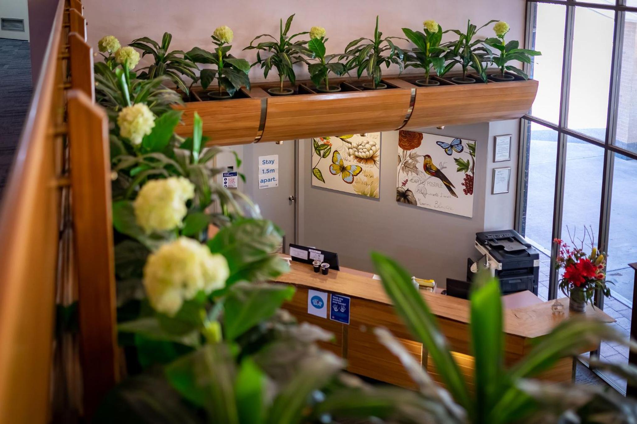 recepcion & lobby
