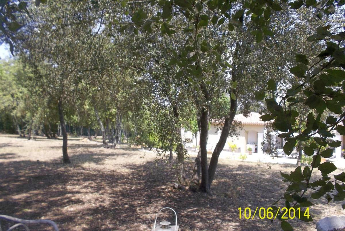 Photo 26