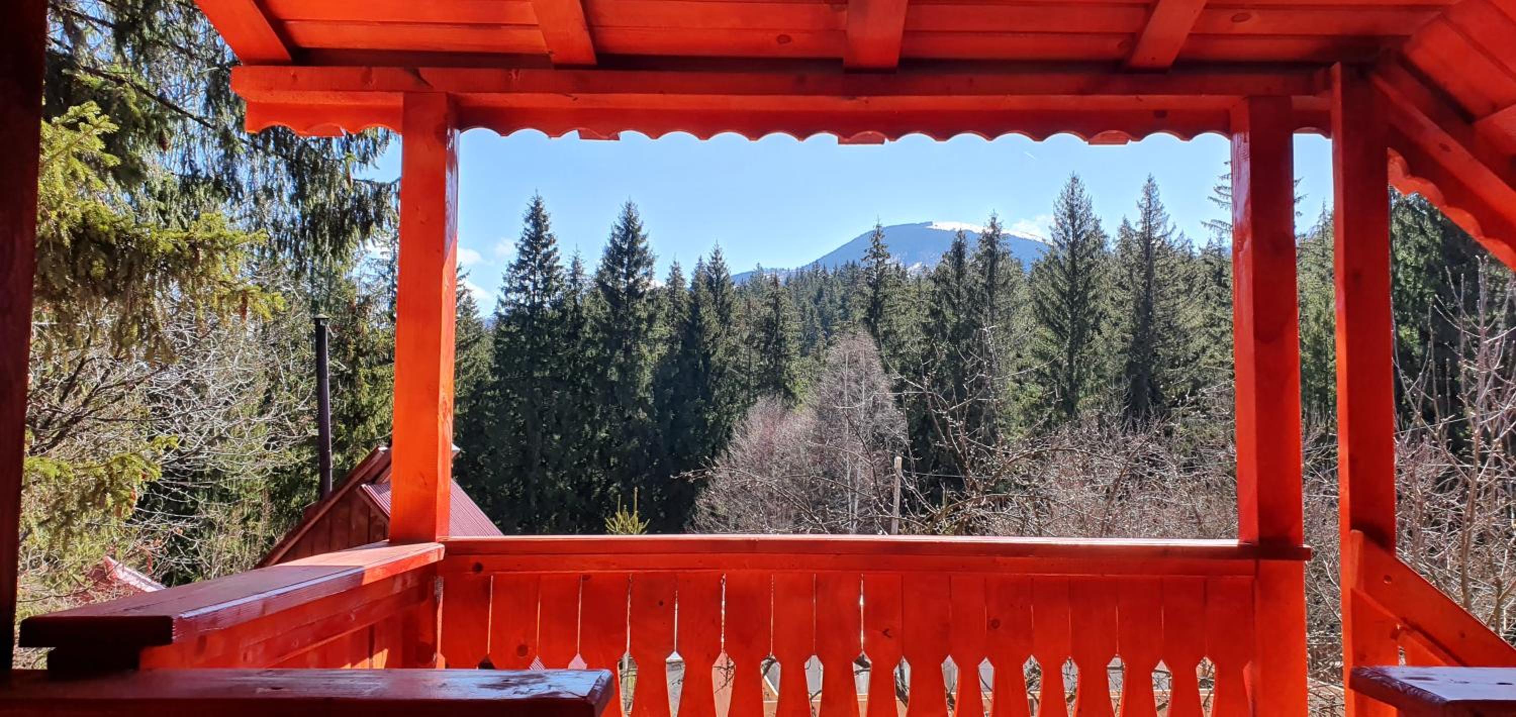 Căsuța din pădure de la Câmpu lui Neag view 2