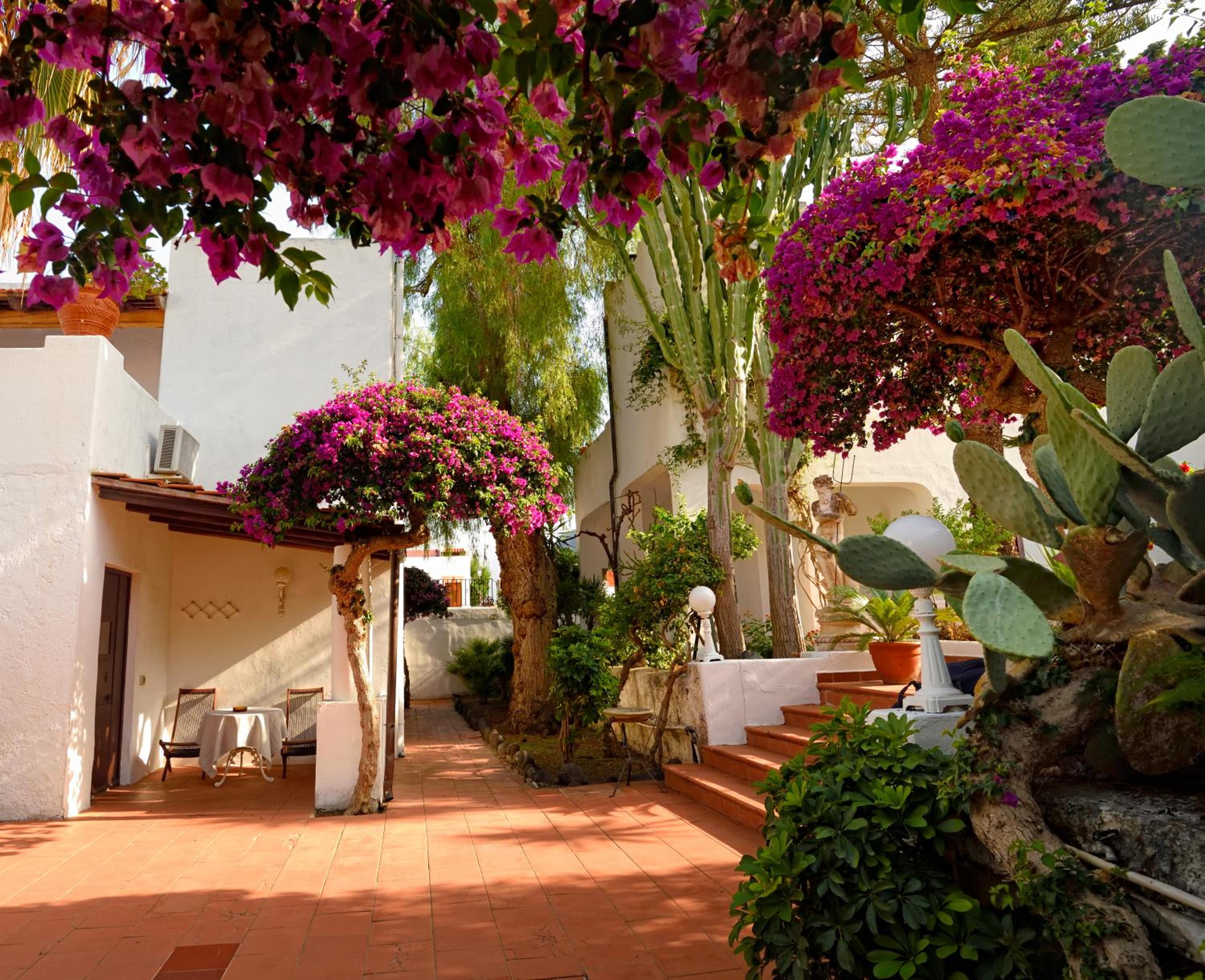 garden