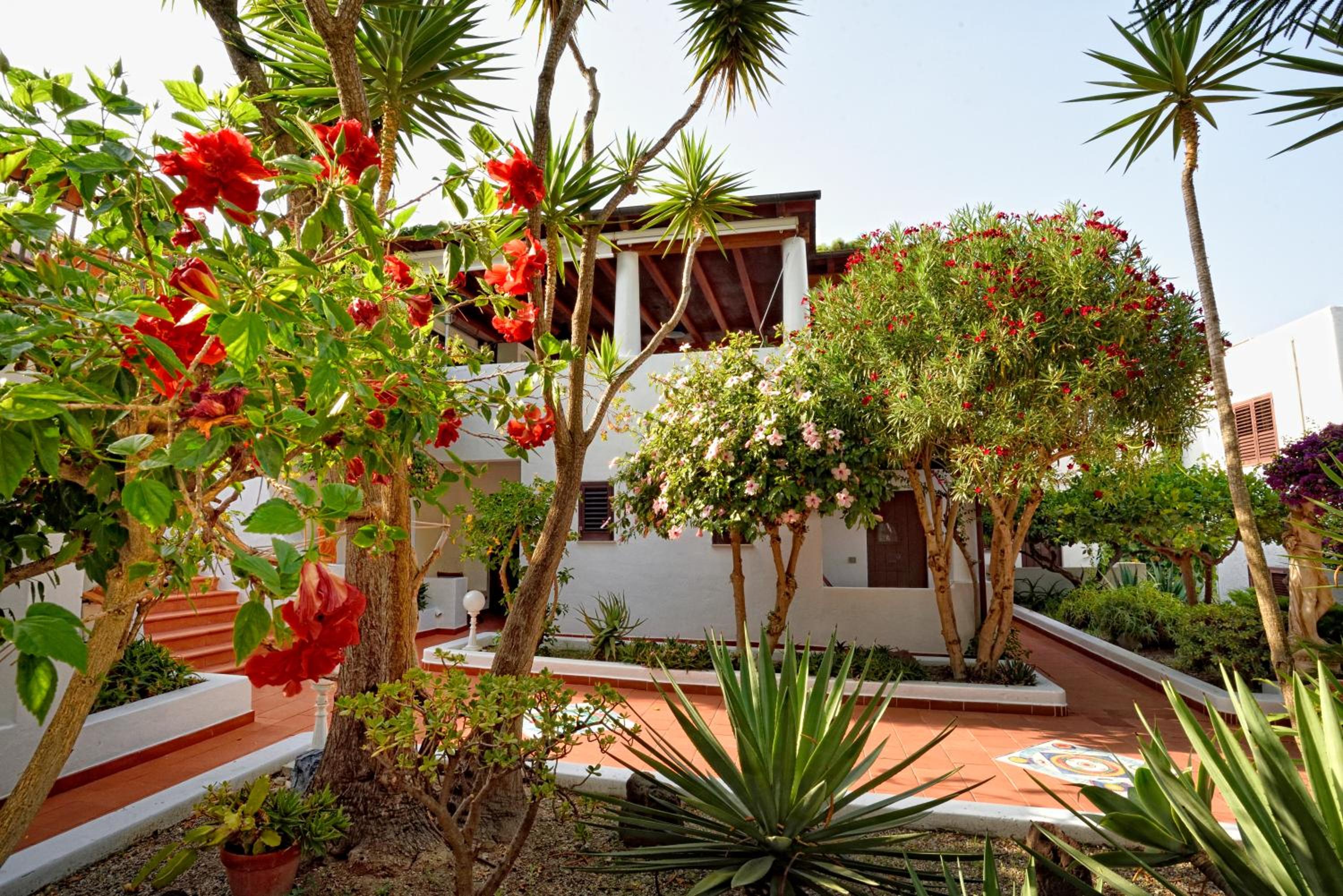 garden
