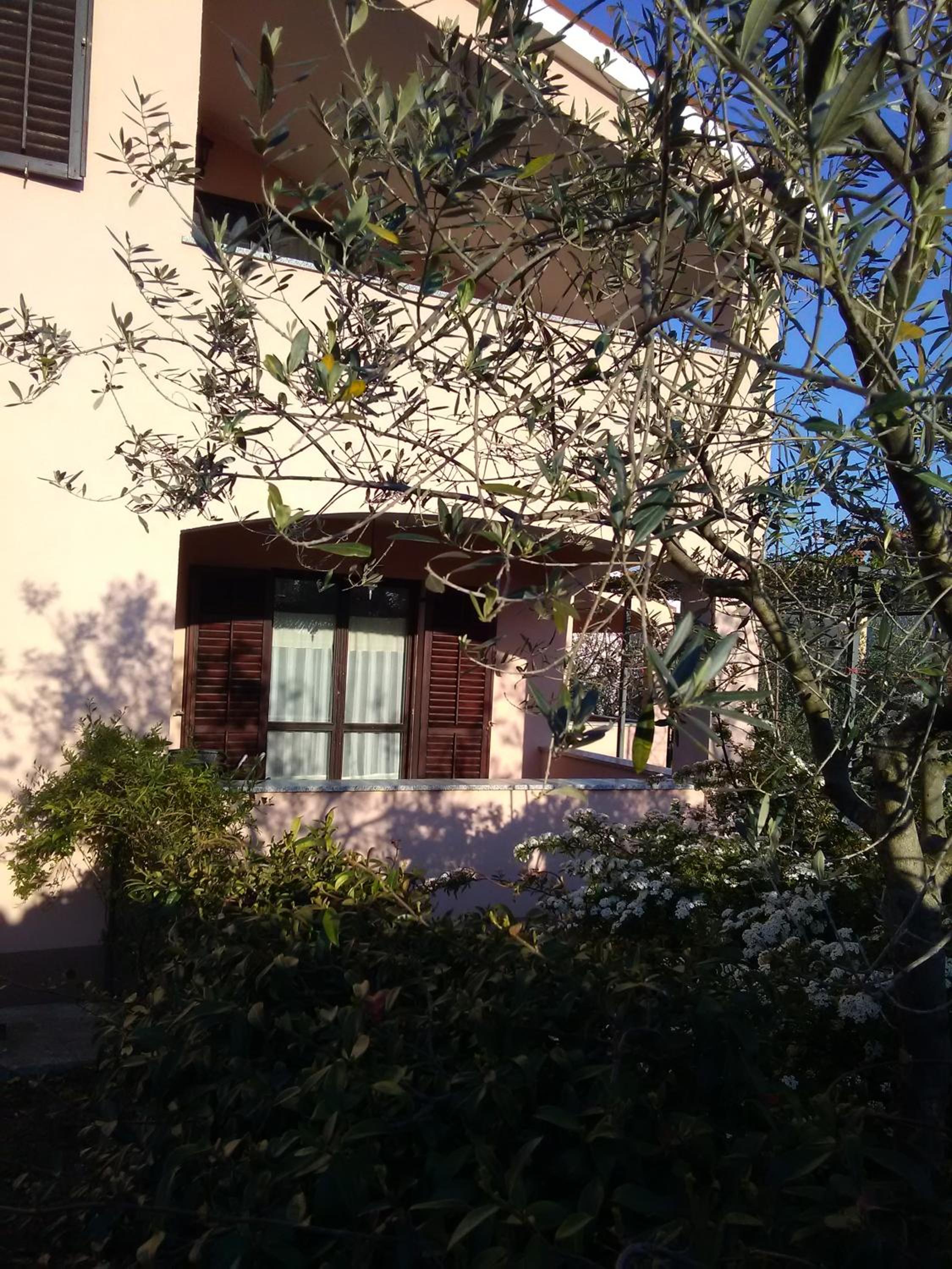 Photo 31