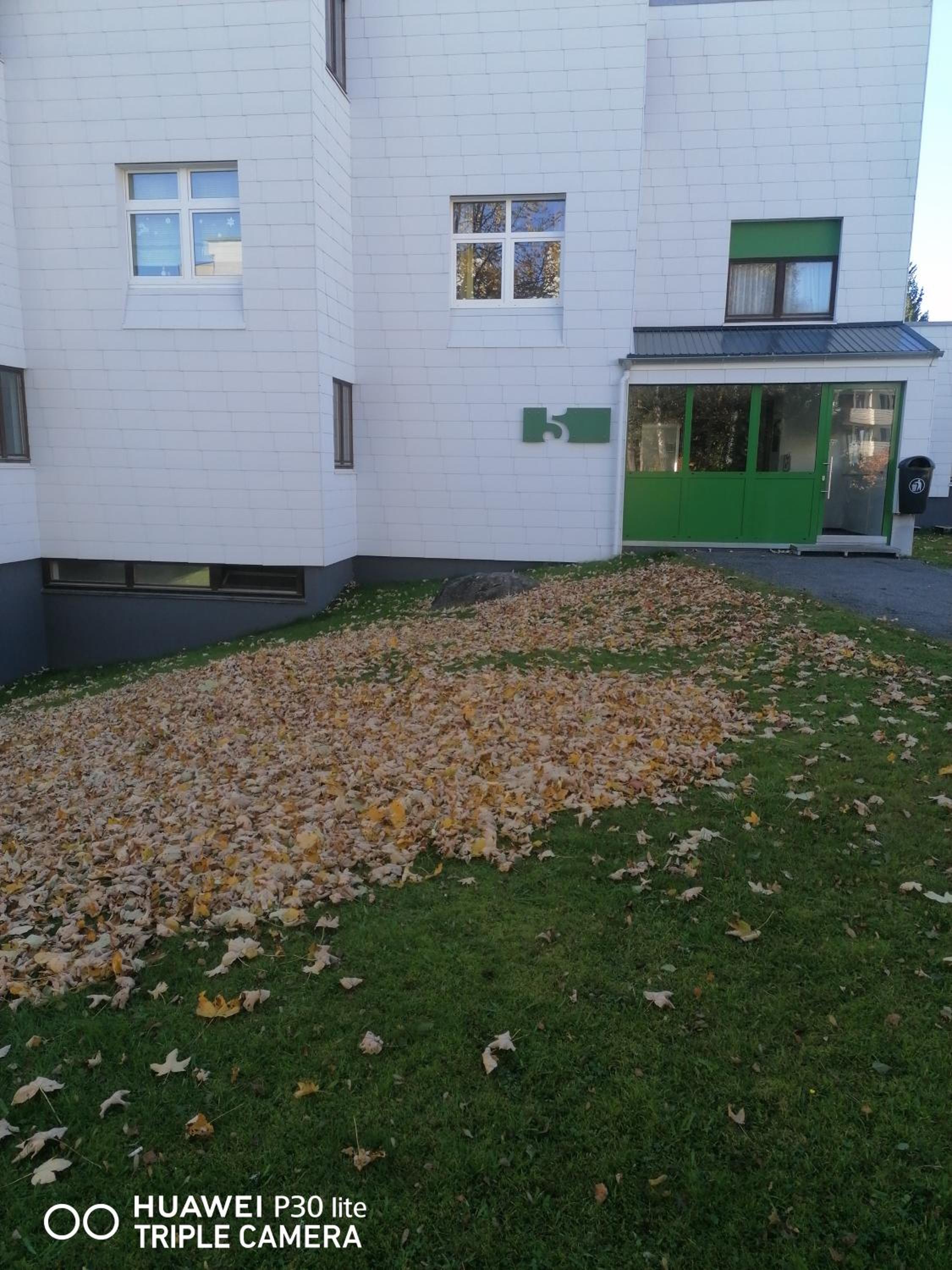 Photo 39