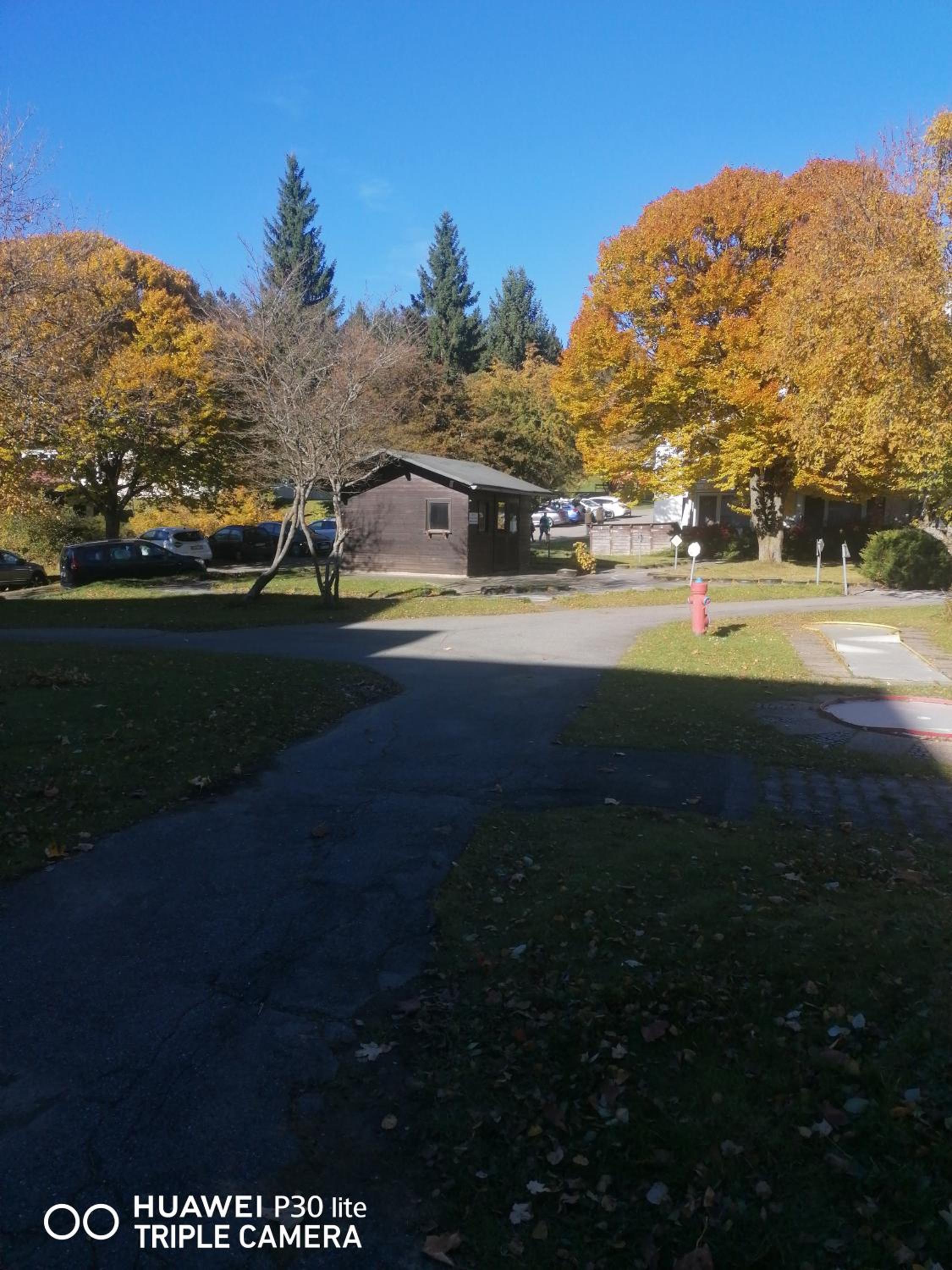 Photo 41