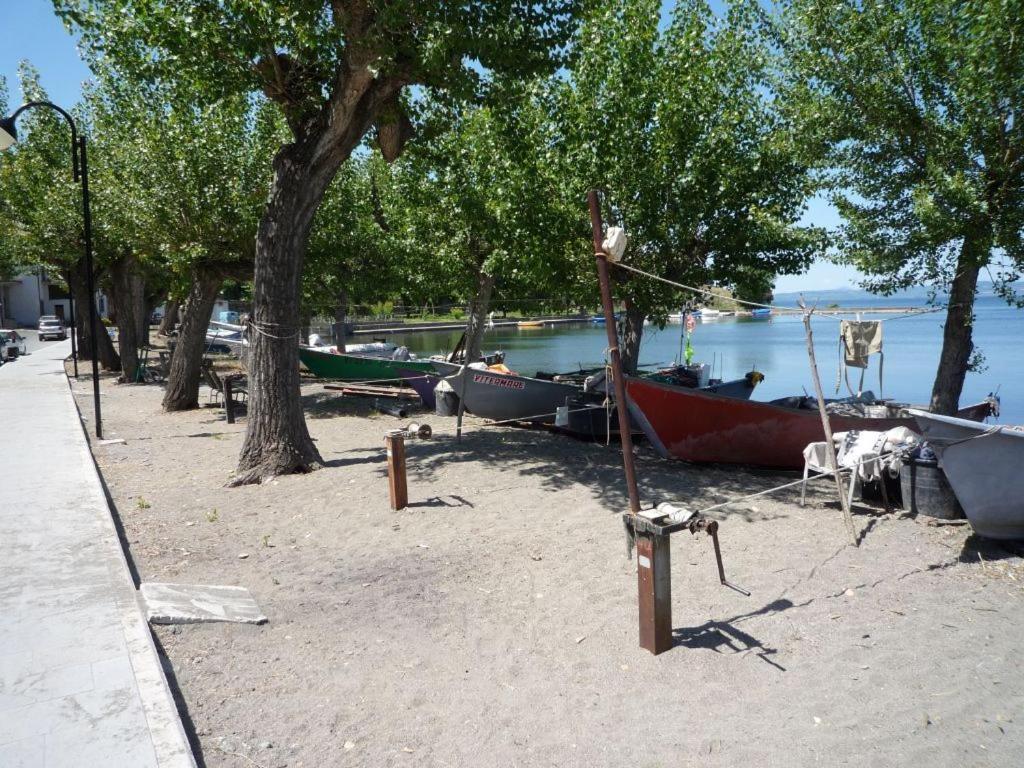 Photo 42