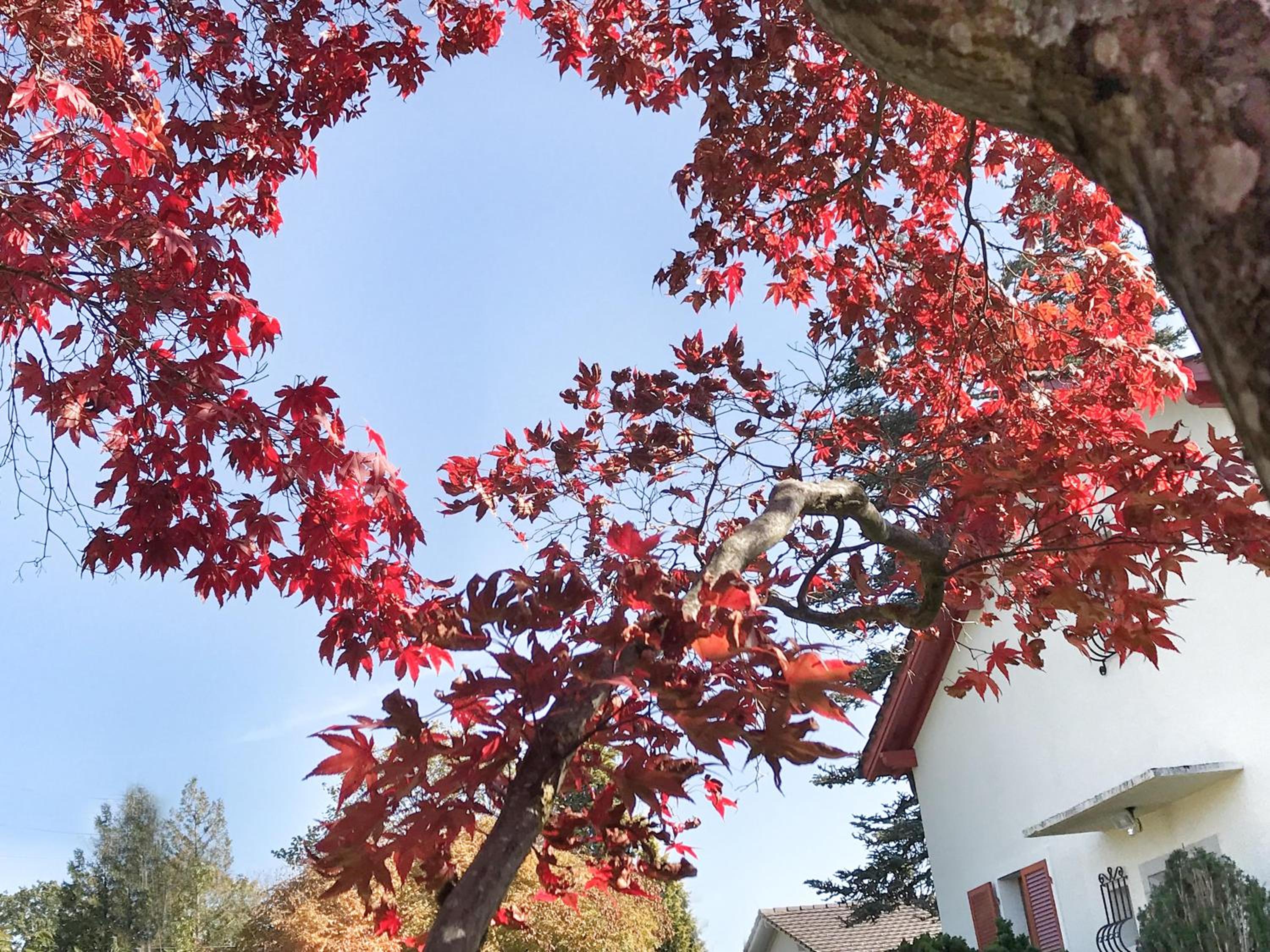 Lindo Lugar - just a 7 minute walk from the airport