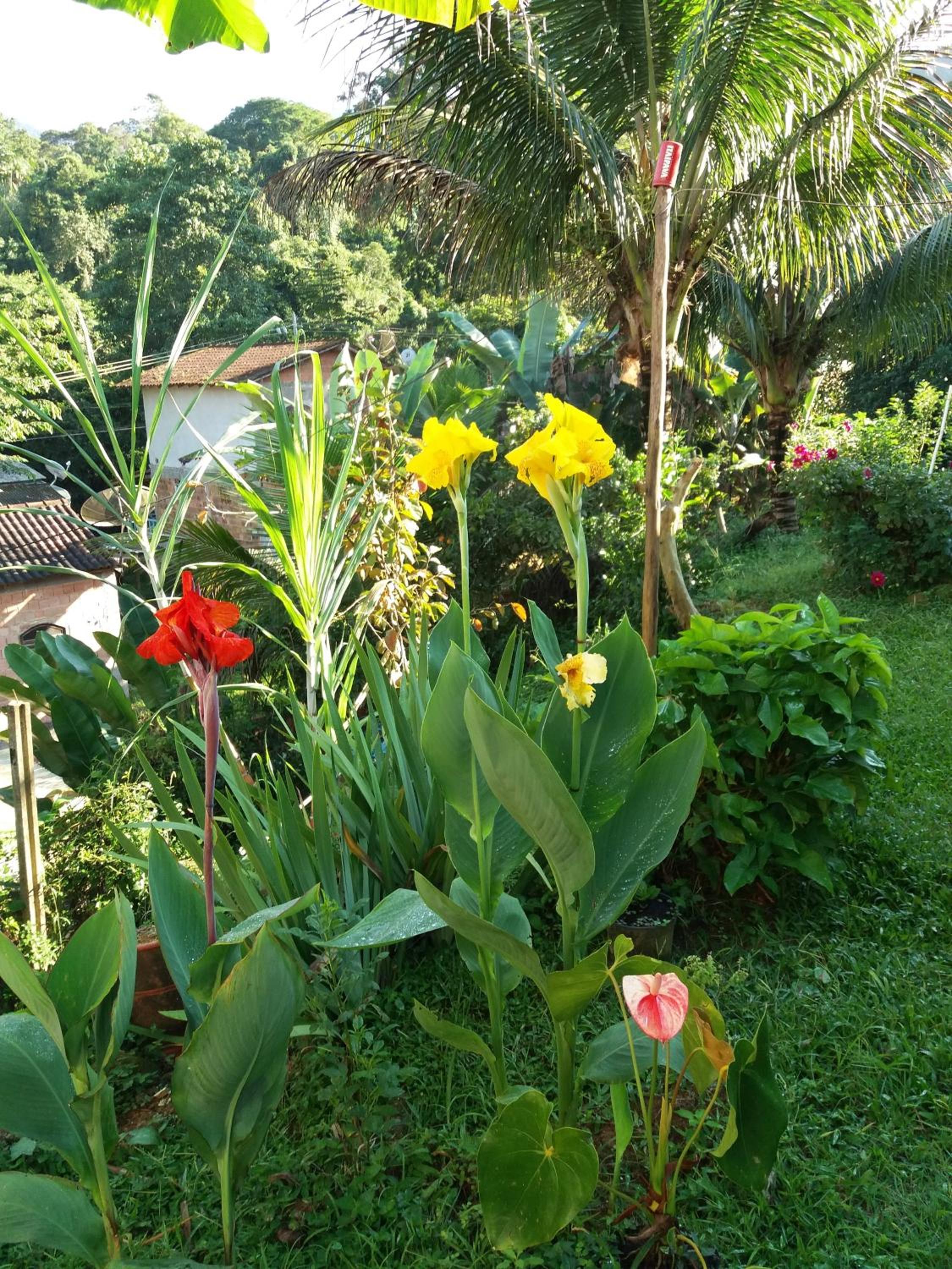 Flat 2 Quartos Siqueira aluguéis na cachoeira