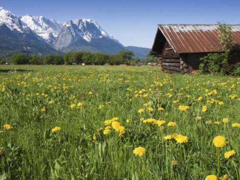 Alpenkette