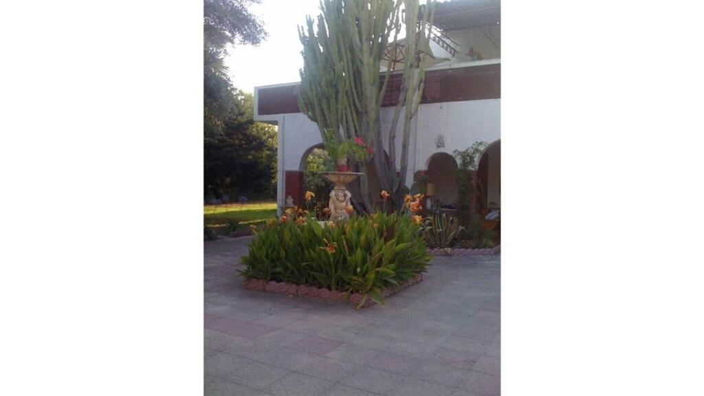 Photo 25