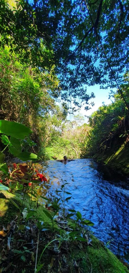 Photo 103