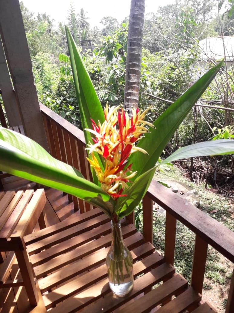 Eco Breeze - Unawatuna view 5
